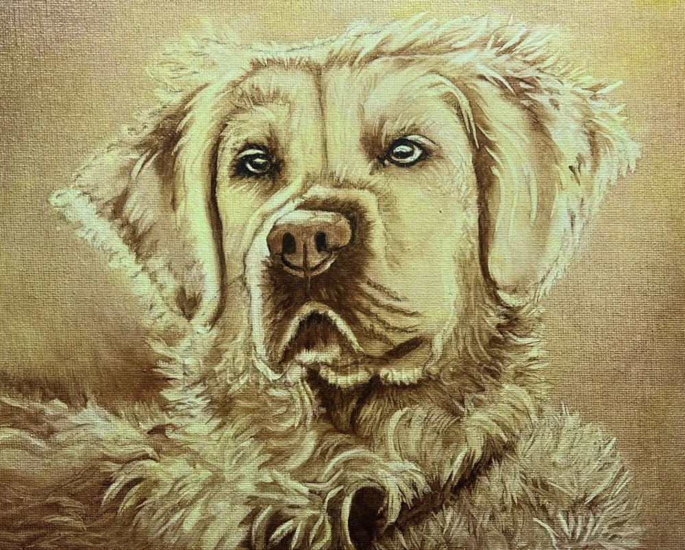 Custom oil pet portrait of Winston the Retriever painted by Paula Millhouse