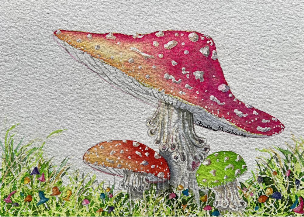 Whimsical woodland mushrooms growing on the forest floor with and grasses, watercolor painting by Paula Millhouse.