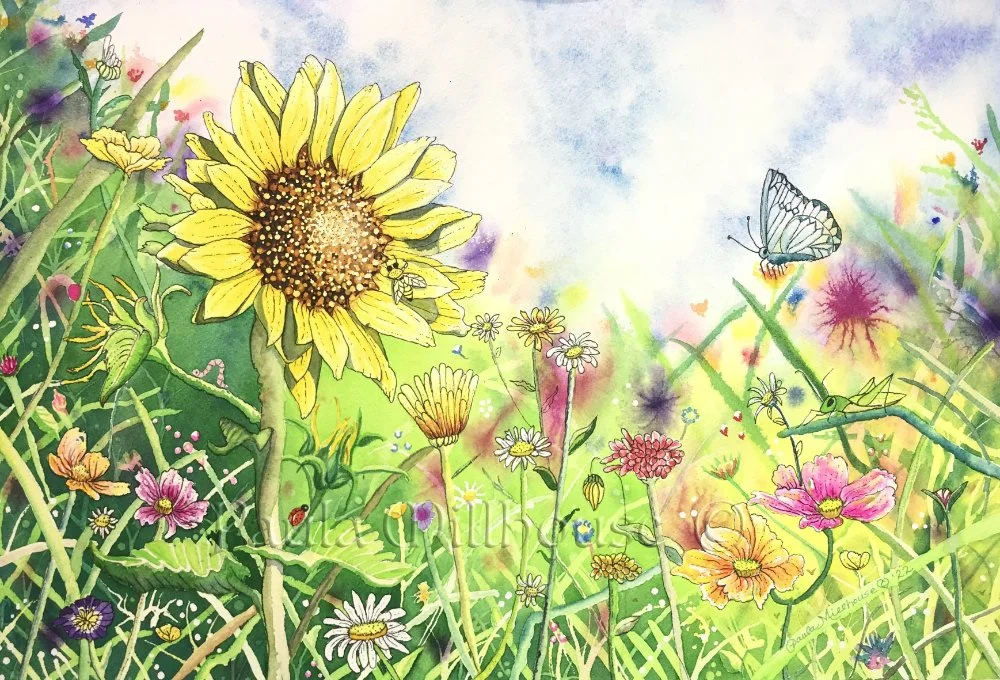 Summer's Symphony.#1224.Paula Millhouse.Web.jpg