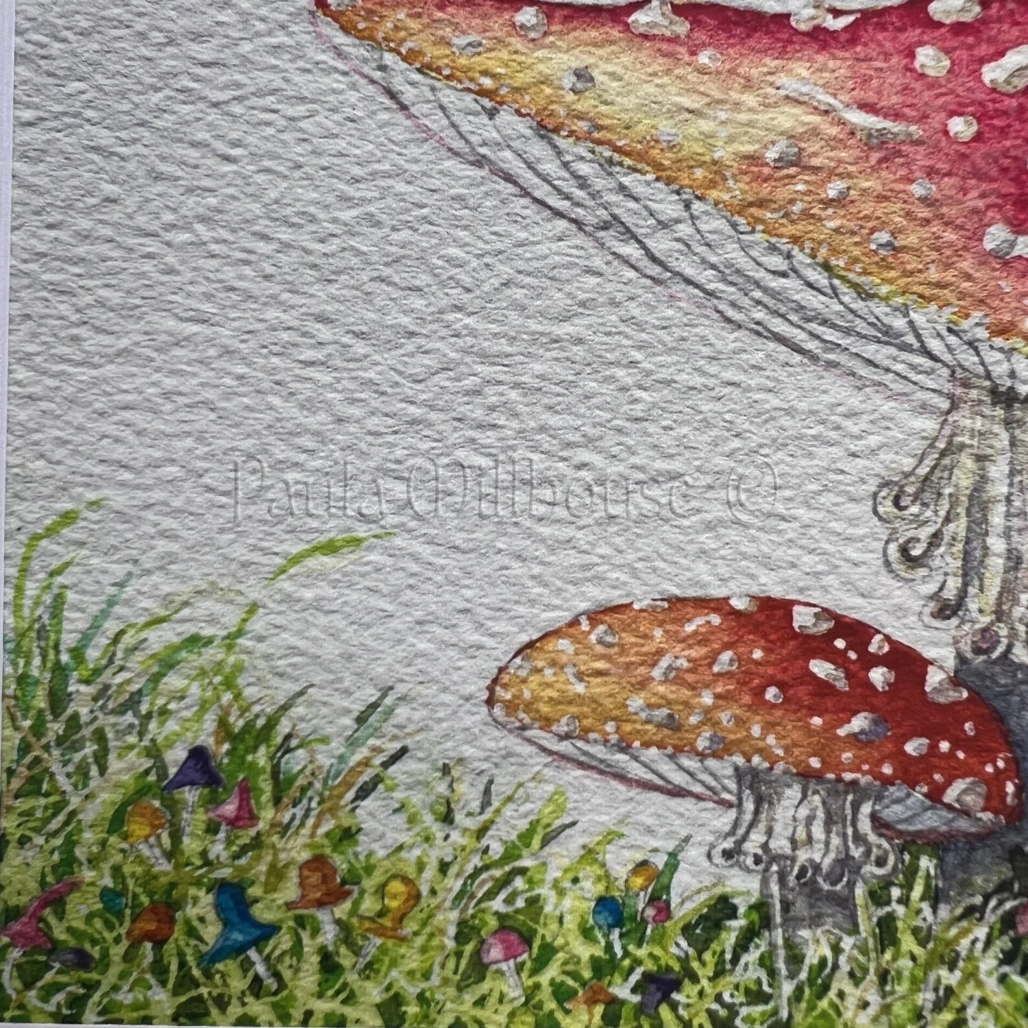 Whimsical woodland mushrooms growing on the forest floor with and grasses, watercolor painting by Paula Millhouse.
