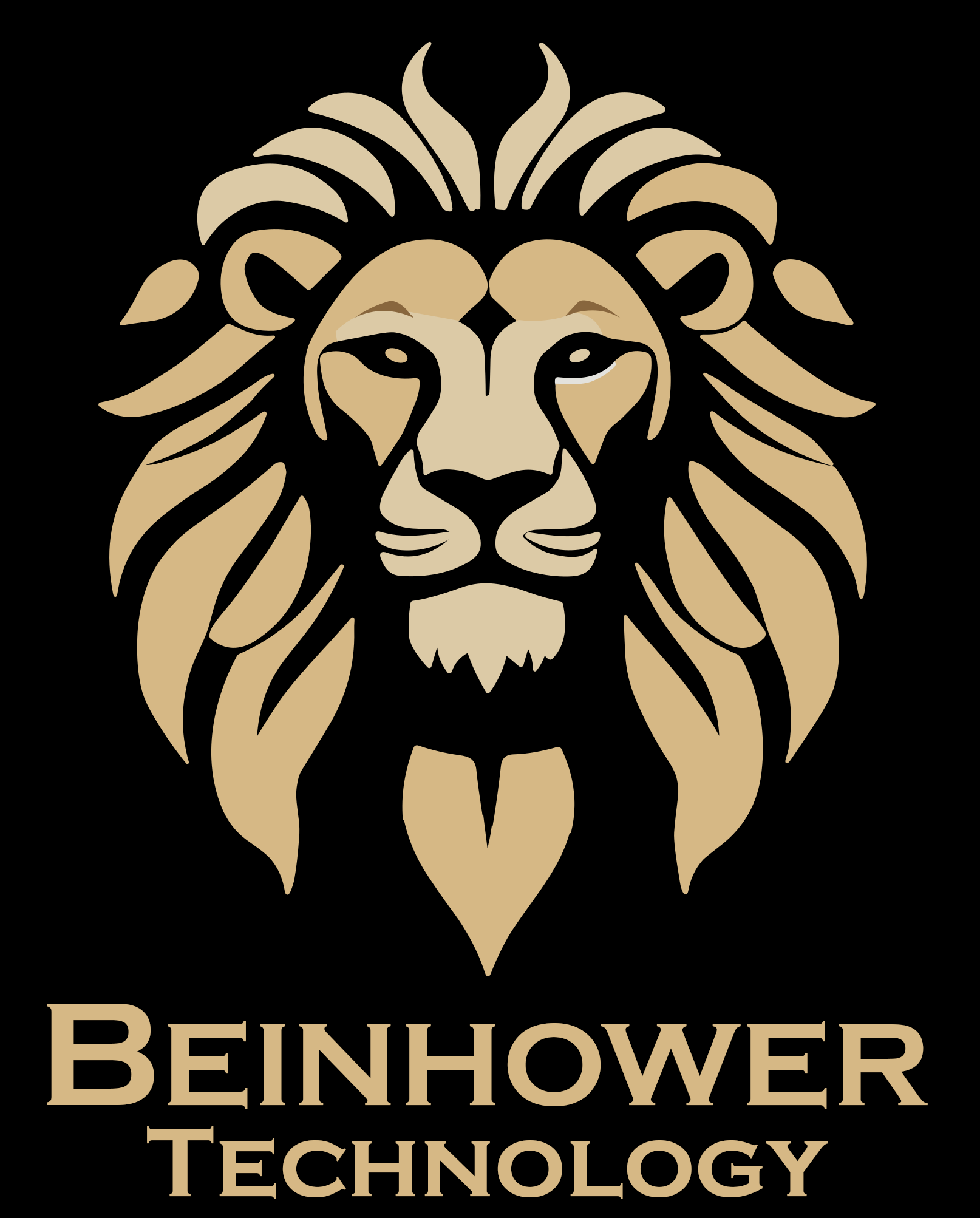 A logo featuring a stylized lion's head in gold and black with the text 'BEINHOWE TECHNOLOGY' below.