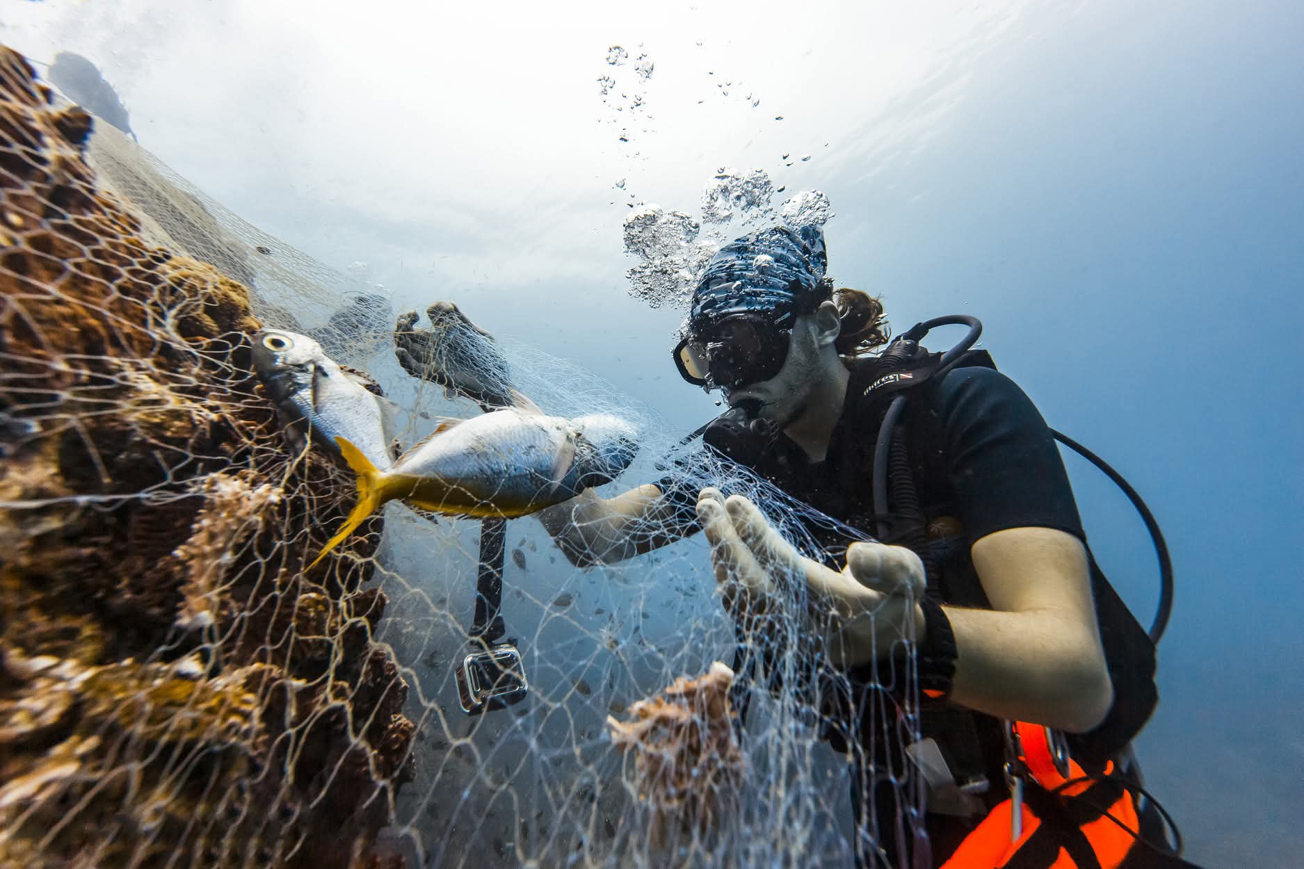 A grayscale, faceless digital illustration of a person with short, styled hair, wearing a collared shirt.
