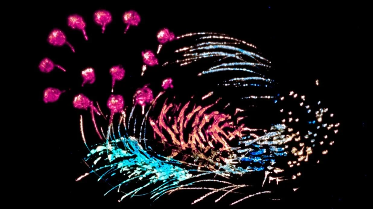 Abstract film image from Norman McLaren's Blinkity Blank.