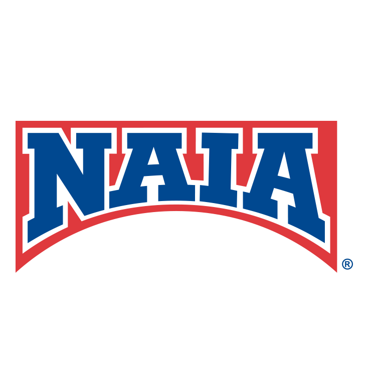 NAIA_Bridge_logo.png