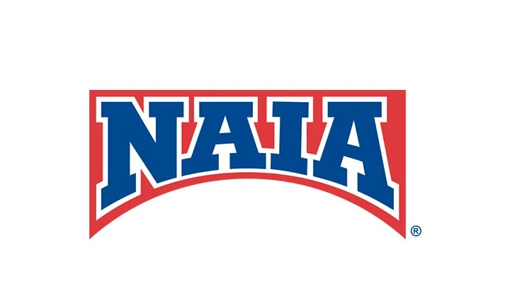NAIA.jpg