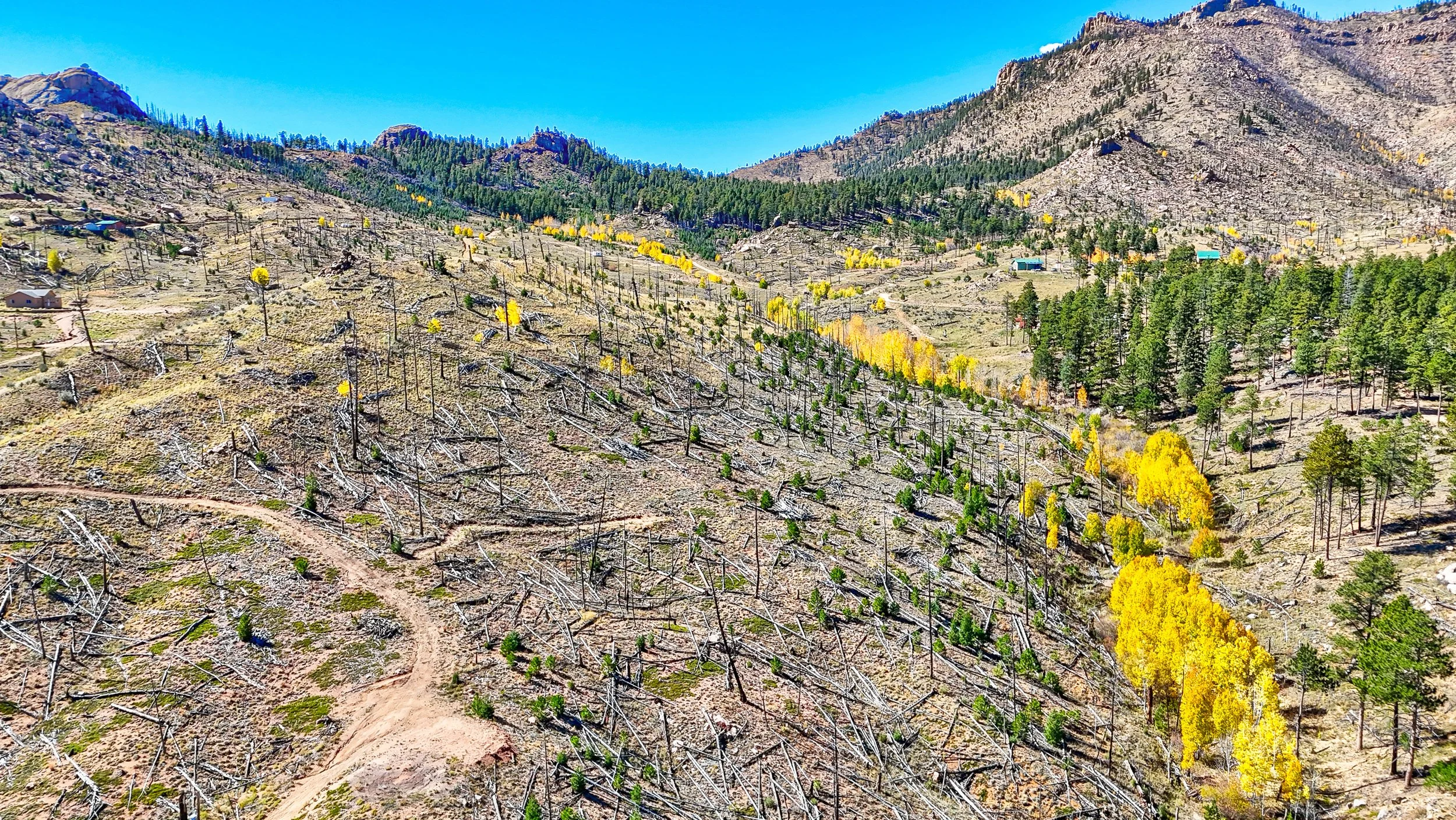 13757 Colorado 67 Woodland Park_ CO 80135 Drone Aerial-12.jpg