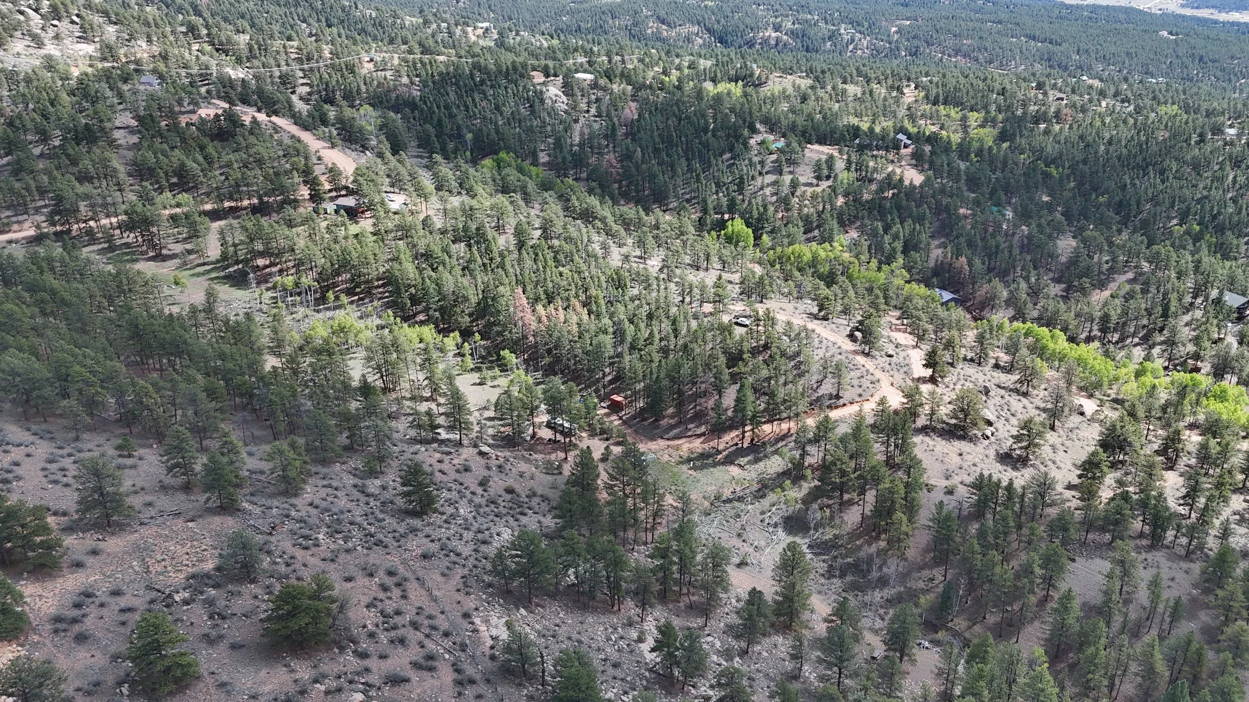 DJI_20260922124615_0353_D.jpg
