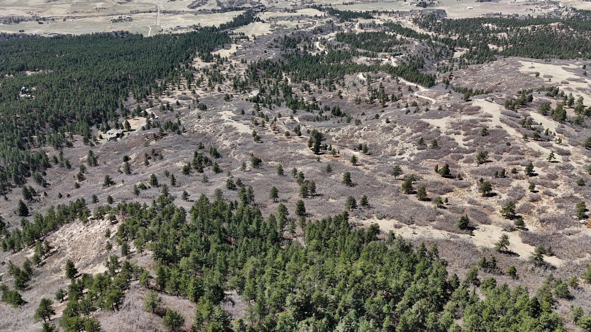 DJI_20260406140302_0114_D.JPG