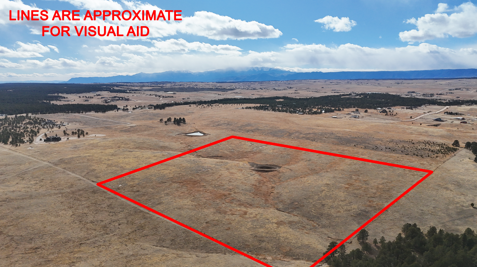 Screenshot 2026-02-22 172757.JPG