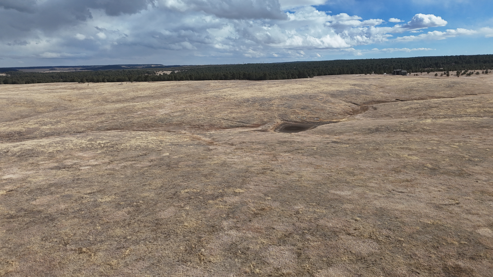 Screenshot 2026-02-22 172817.JPG