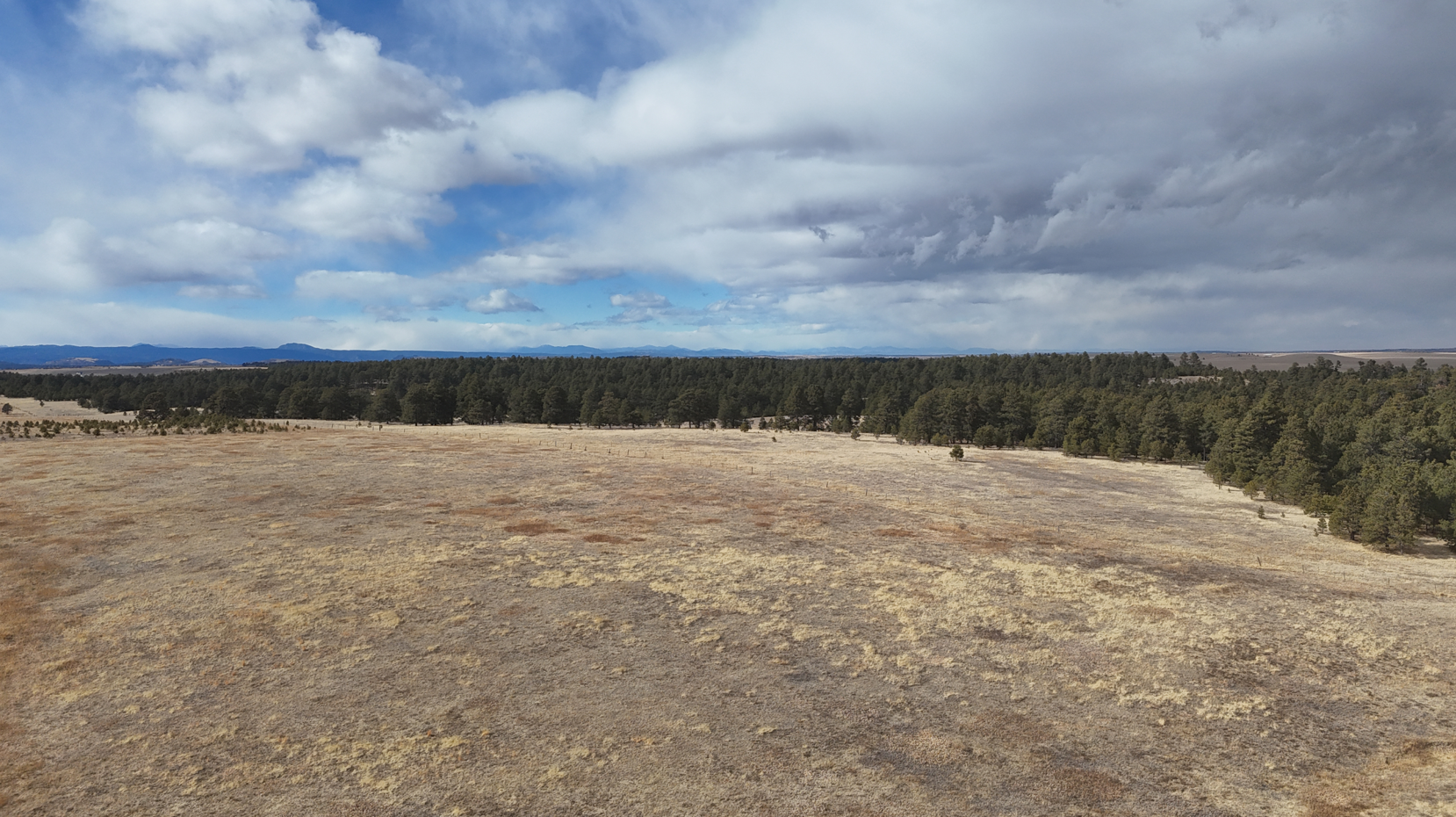 Screenshot 2026-02-22 172810.JPG