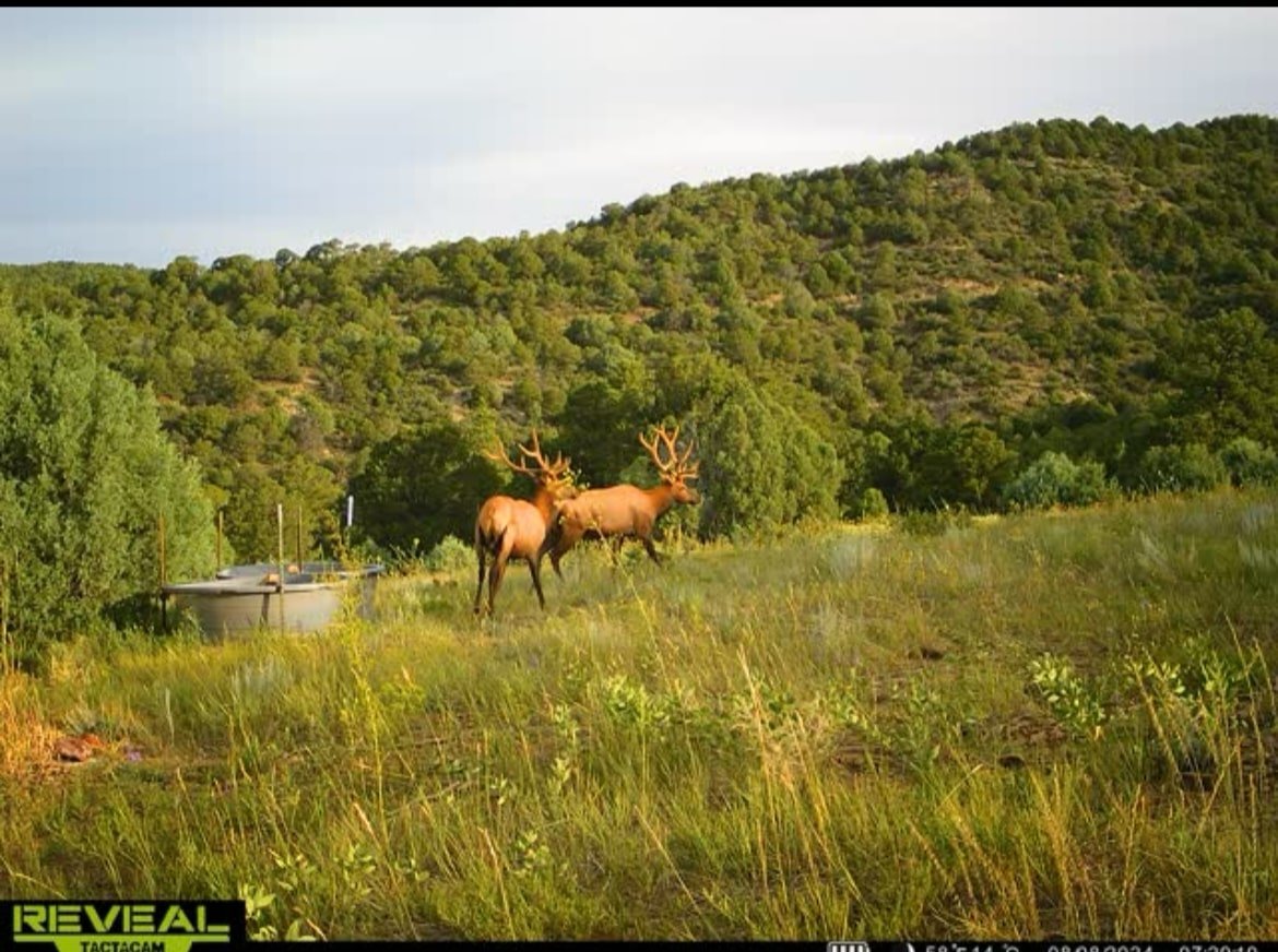 IMG_20250626_154126 (1).jpg