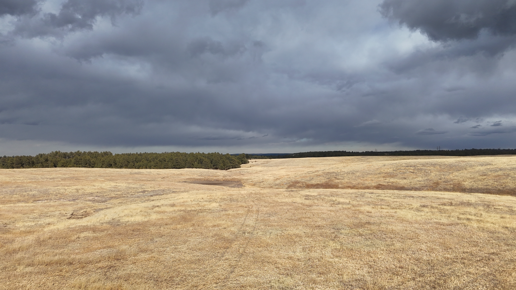 Screenshot 2026-02-22 172721.JPG