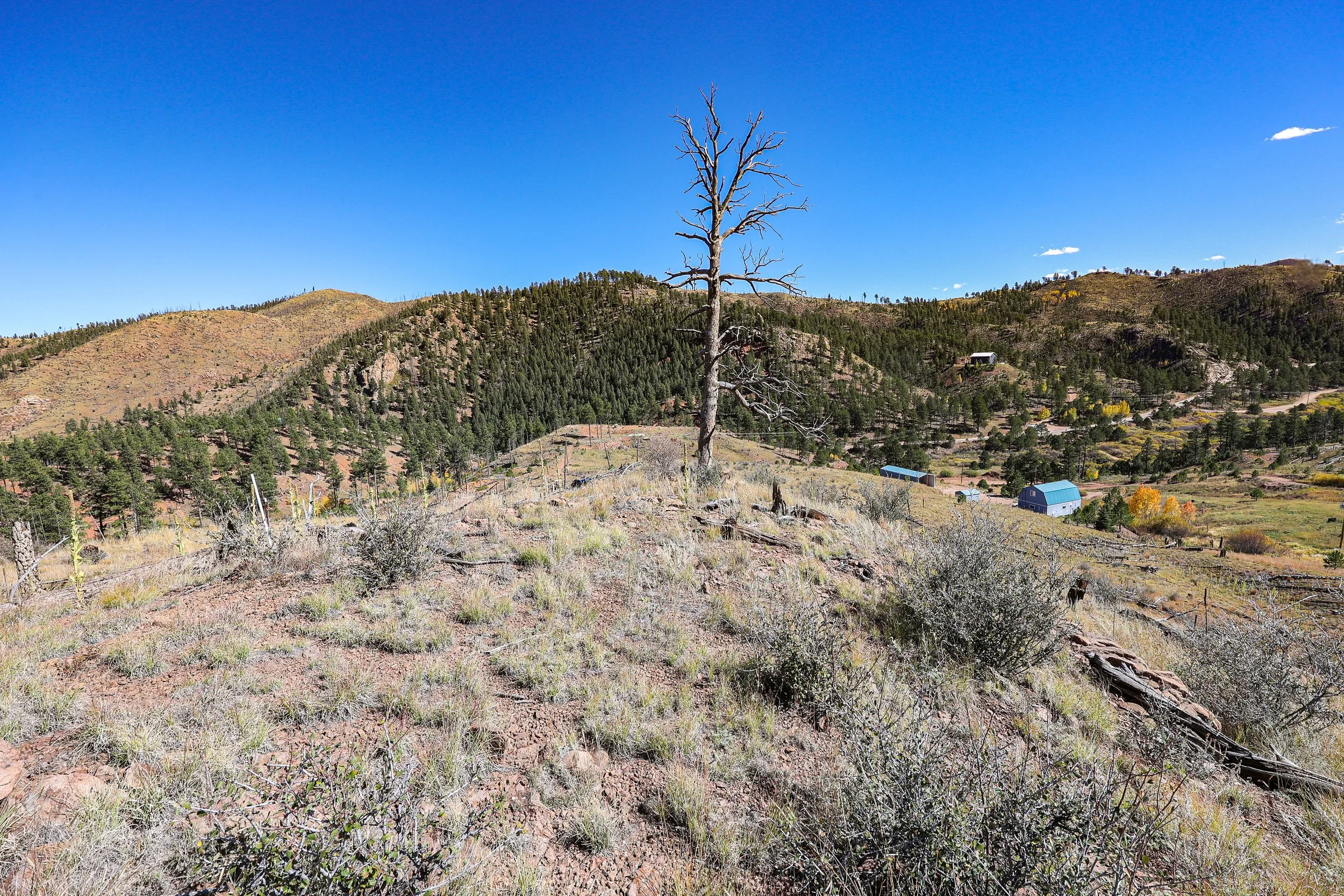 13757 Colorado 67 Sedelia_ CO Ground Exterior Still-128.jpg