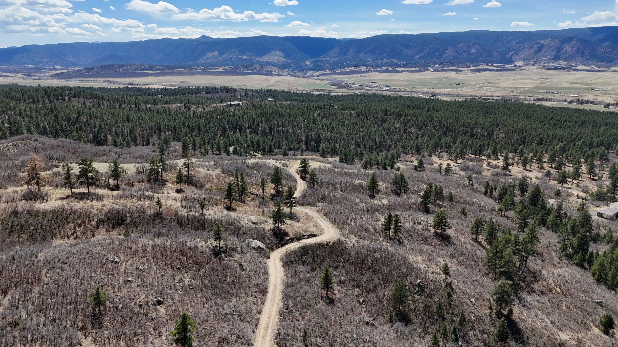 DJI_20260406140504_0119_D.JPG