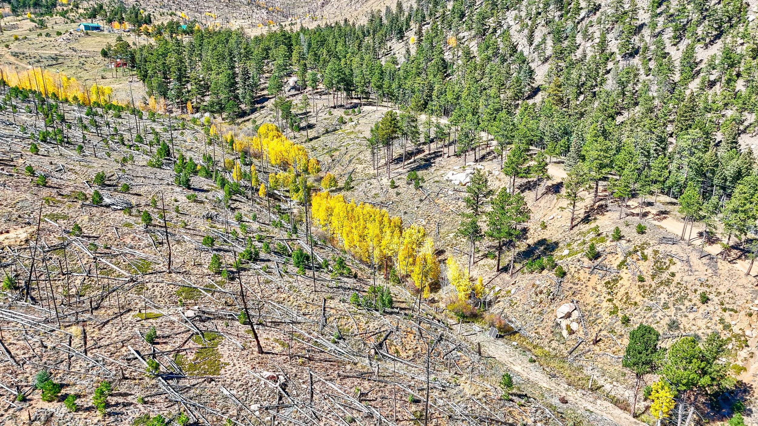 13757 Colorado 67 Woodland Park_ CO 80135 Drone Aerial-9.jpg