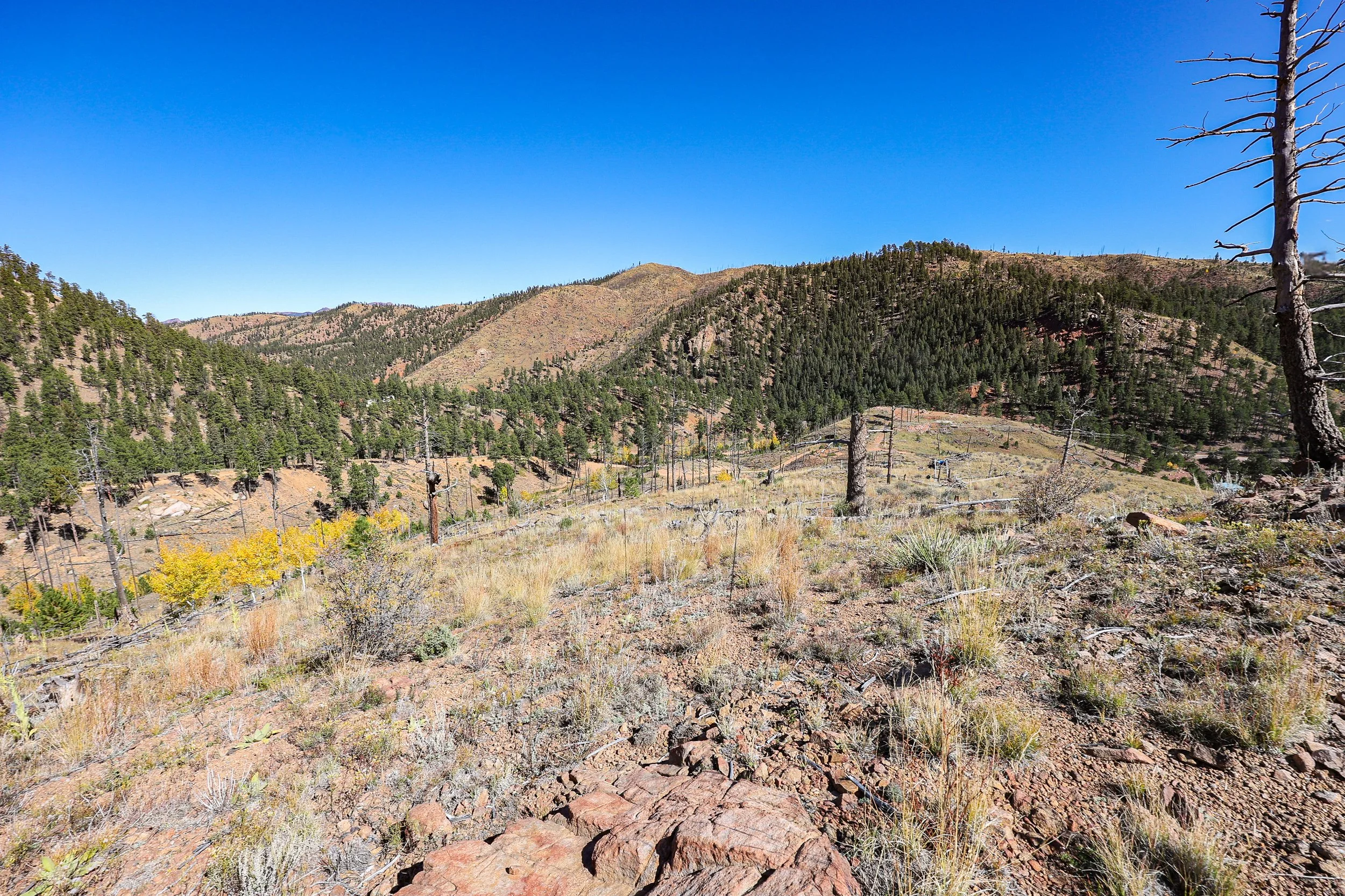 13757 Colorado 67 Sedelia_ CO Ground Exterior Still-117.jpg