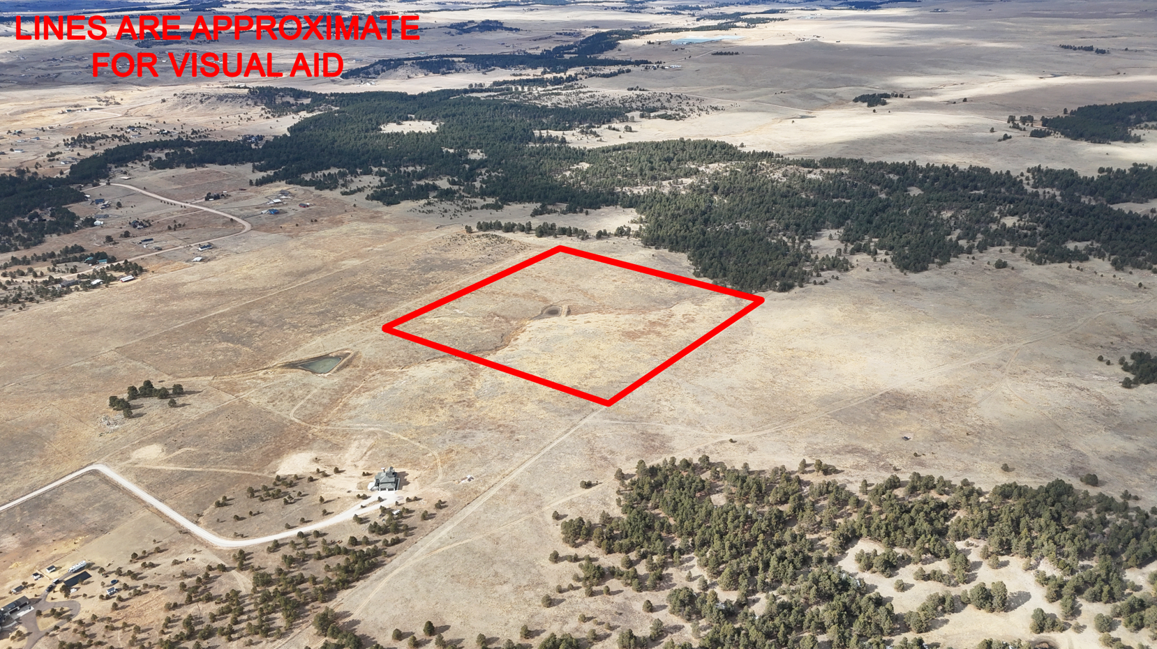 Screenshot 2026-02-22 172659.JPG