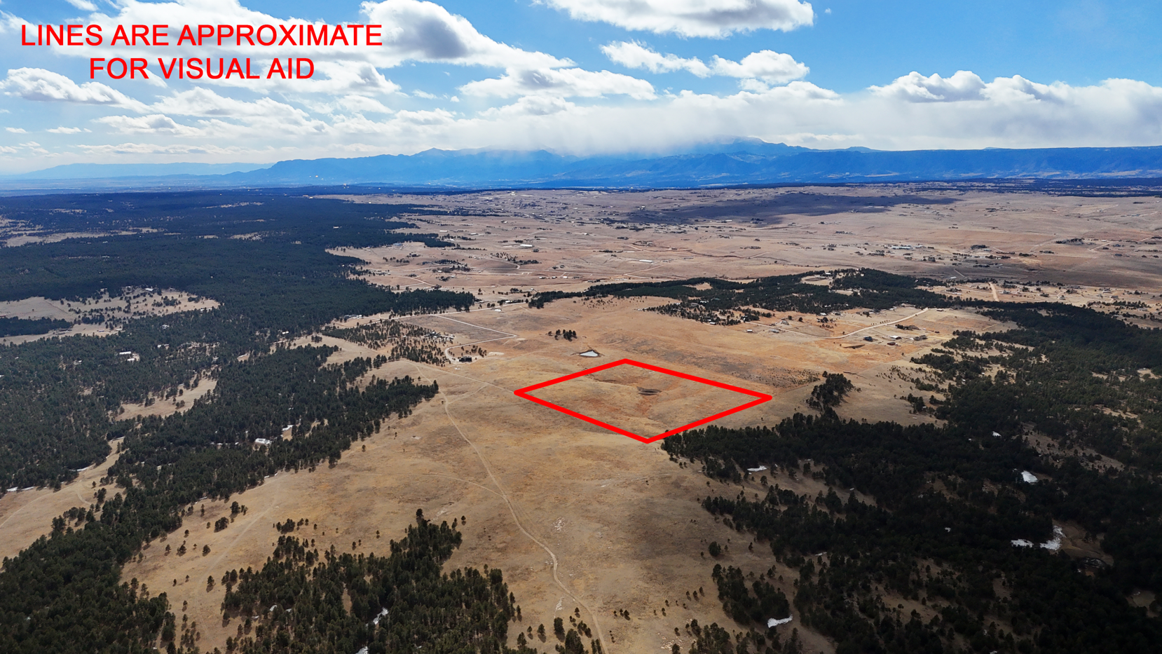 Screenshot 2026-02-22 172612.JPG