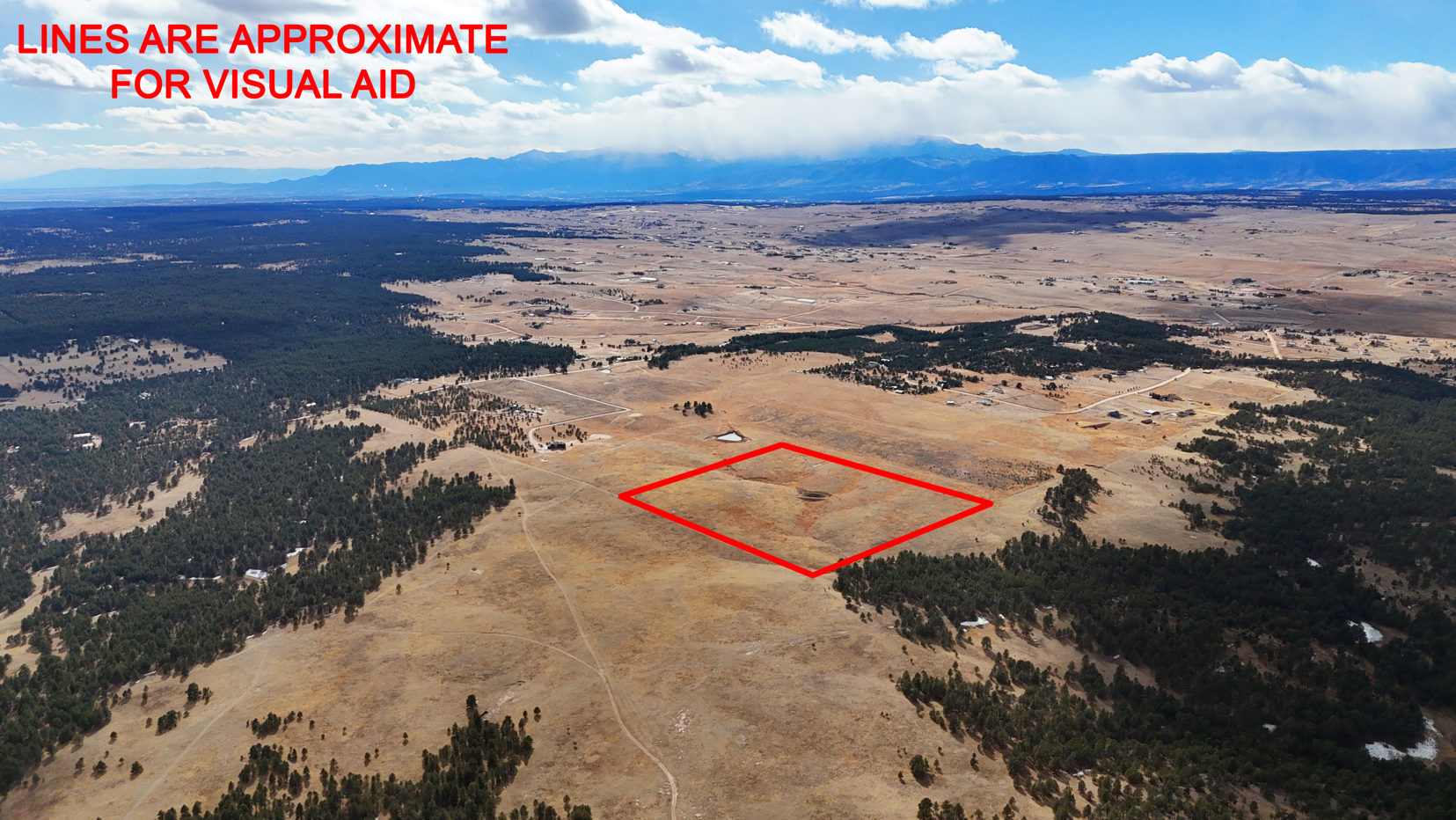 Screenshot 2026-02-22 172603.JPG