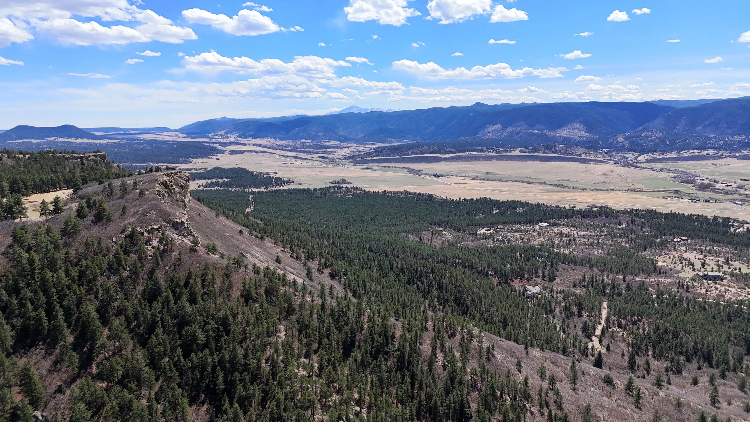 DJI_20260406140355_0116_D.JPG