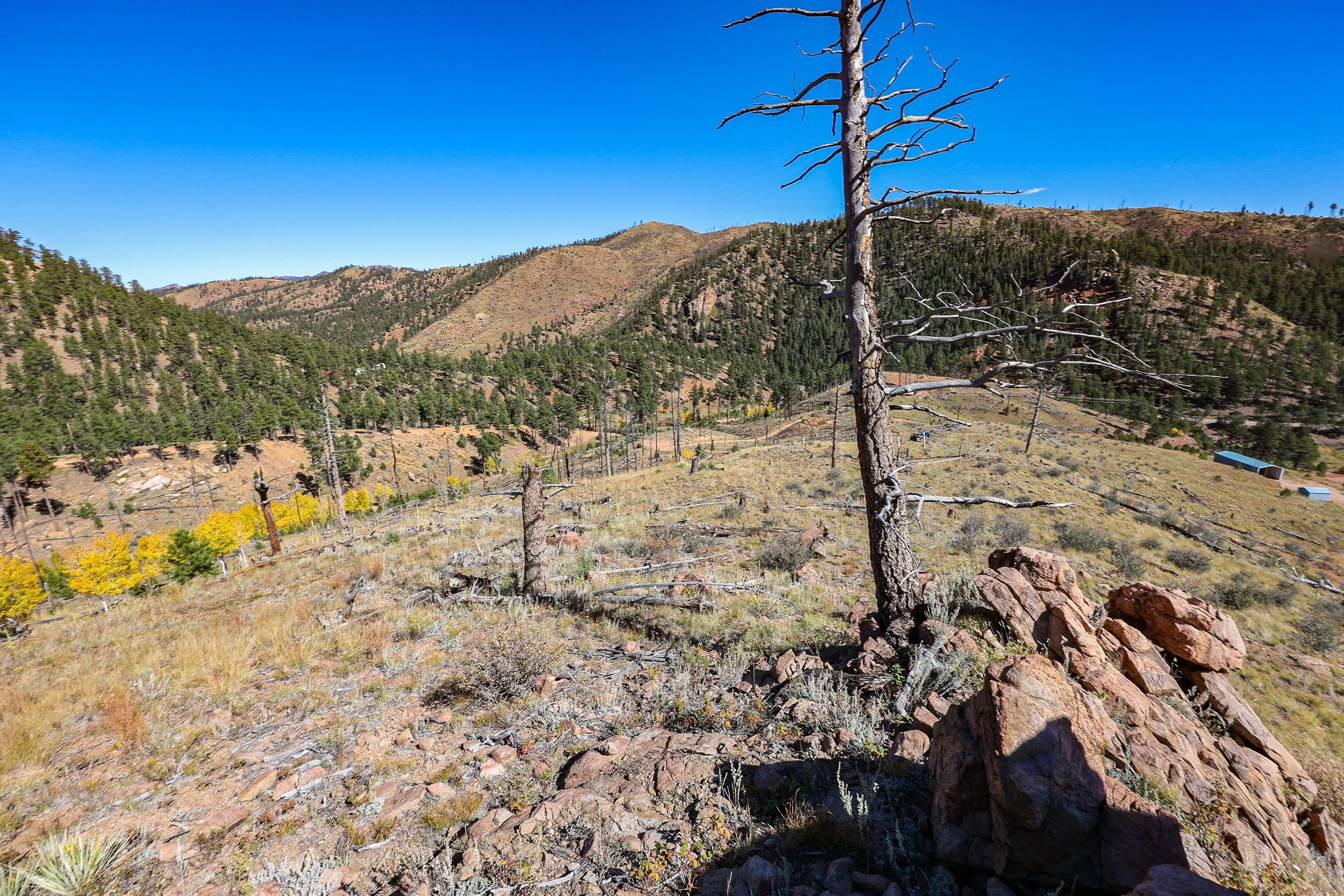 13757 Colorado 67 Sedelia_ CO Ground Exterior Still-97.jpg