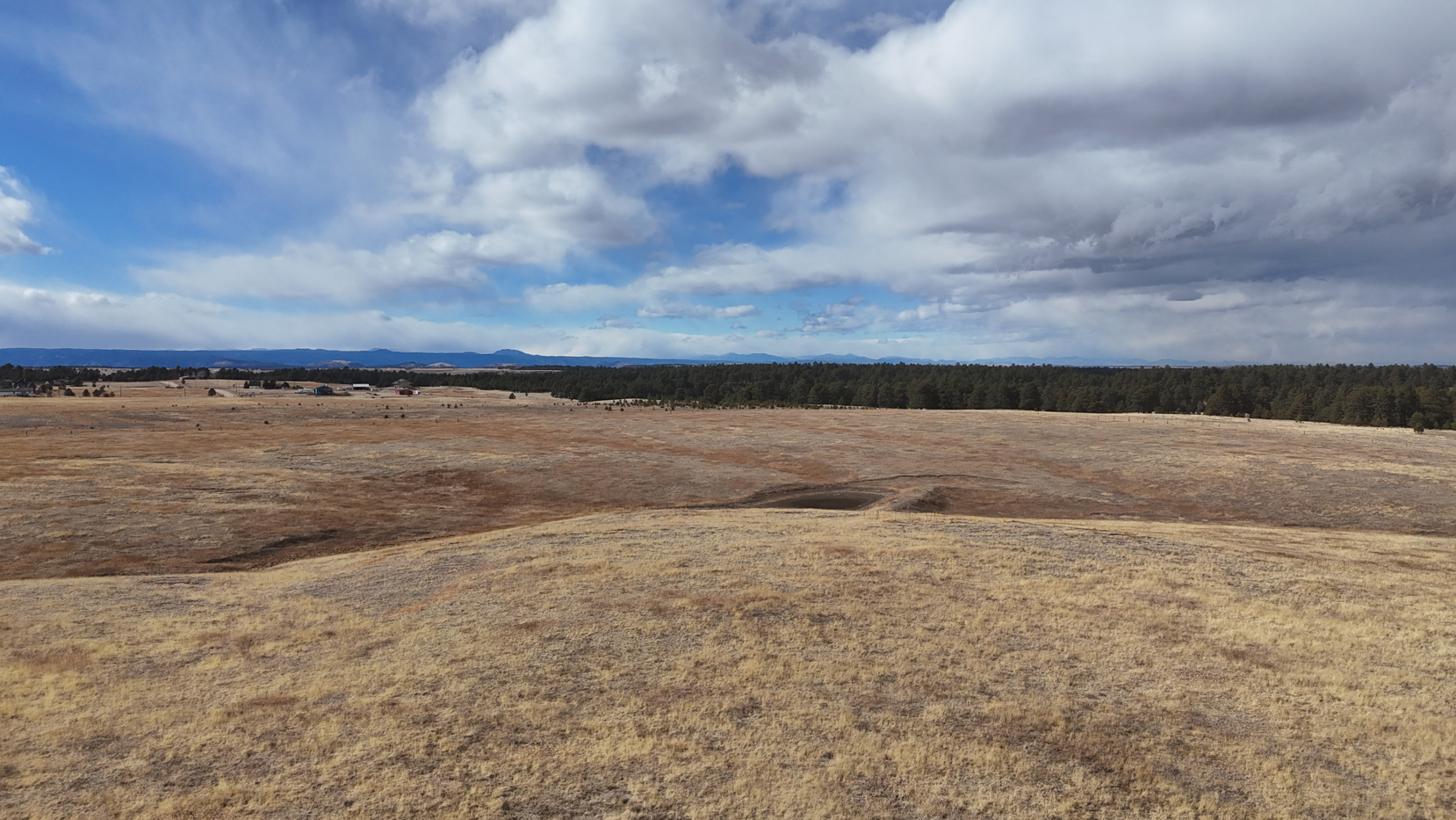 Screenshot 2026-02-22 172849.JPG