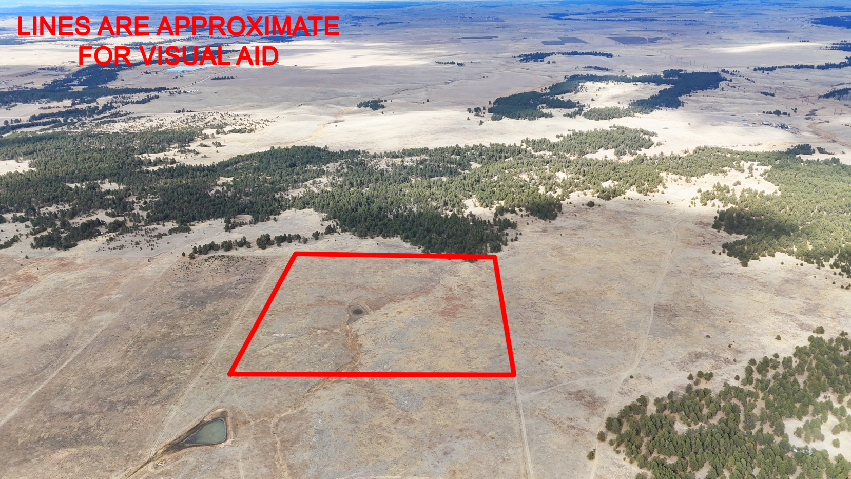 Screenshot 2026-02-22 172714.JPG