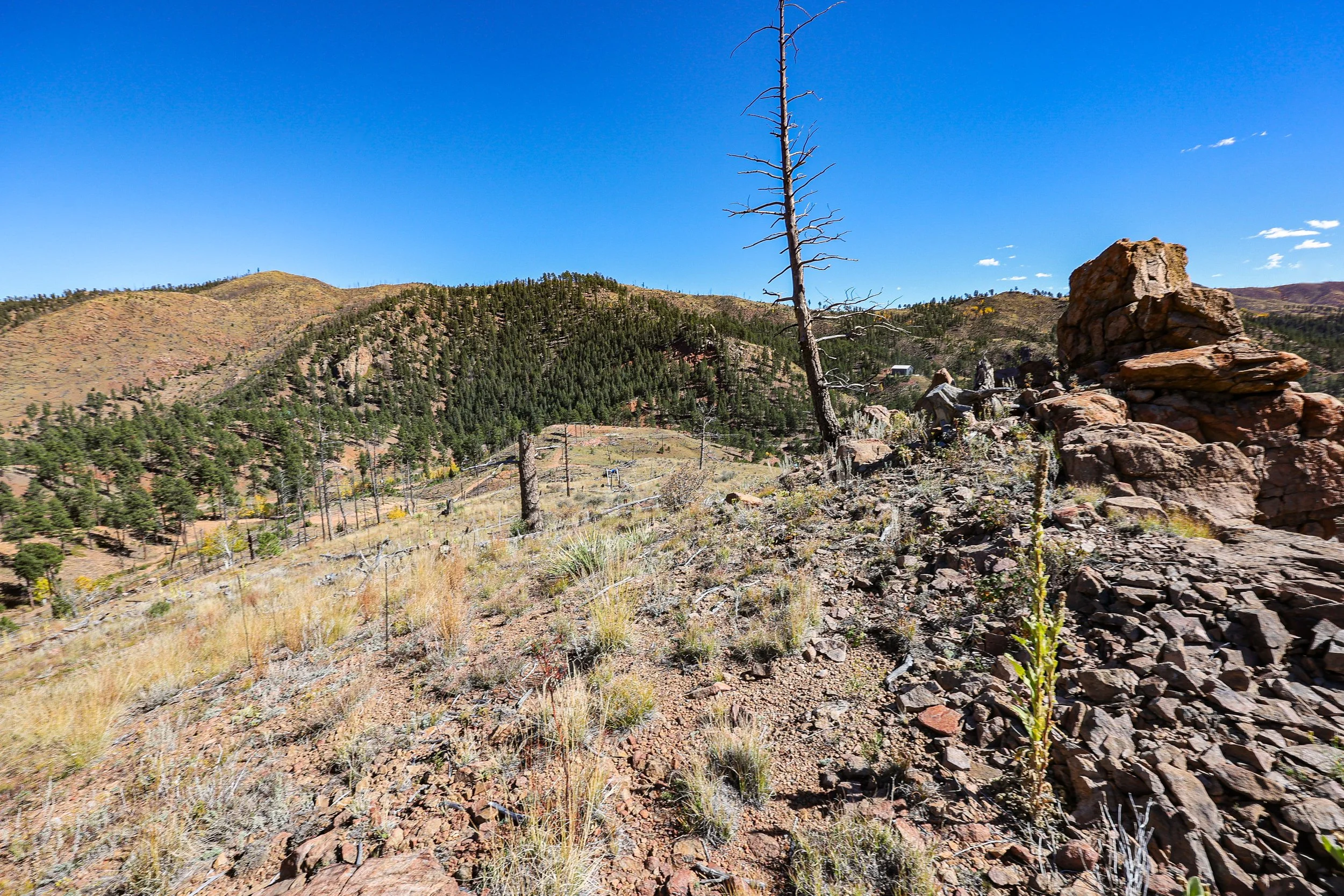 13757 Colorado 67 Sedelia_ CO Ground Exterior Still-118.jpg