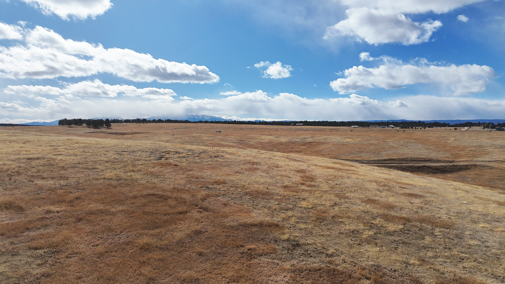 Screenshot 2026-02-22 172804.JPG