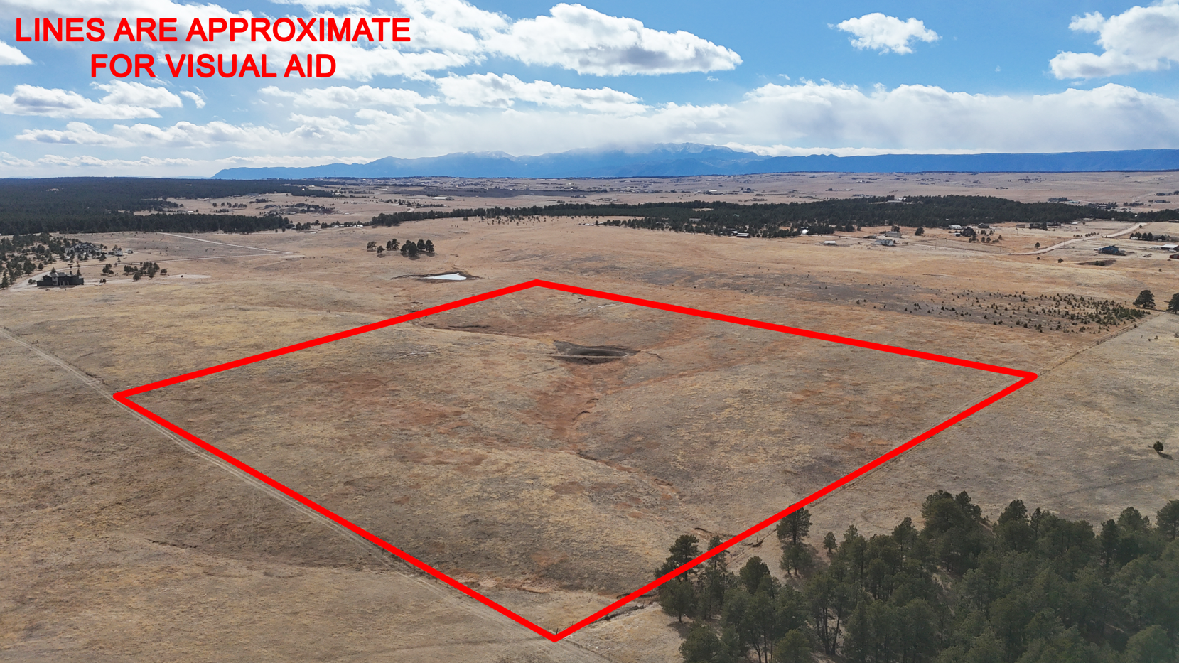 Screenshot 2026-02-22 172742.JPG