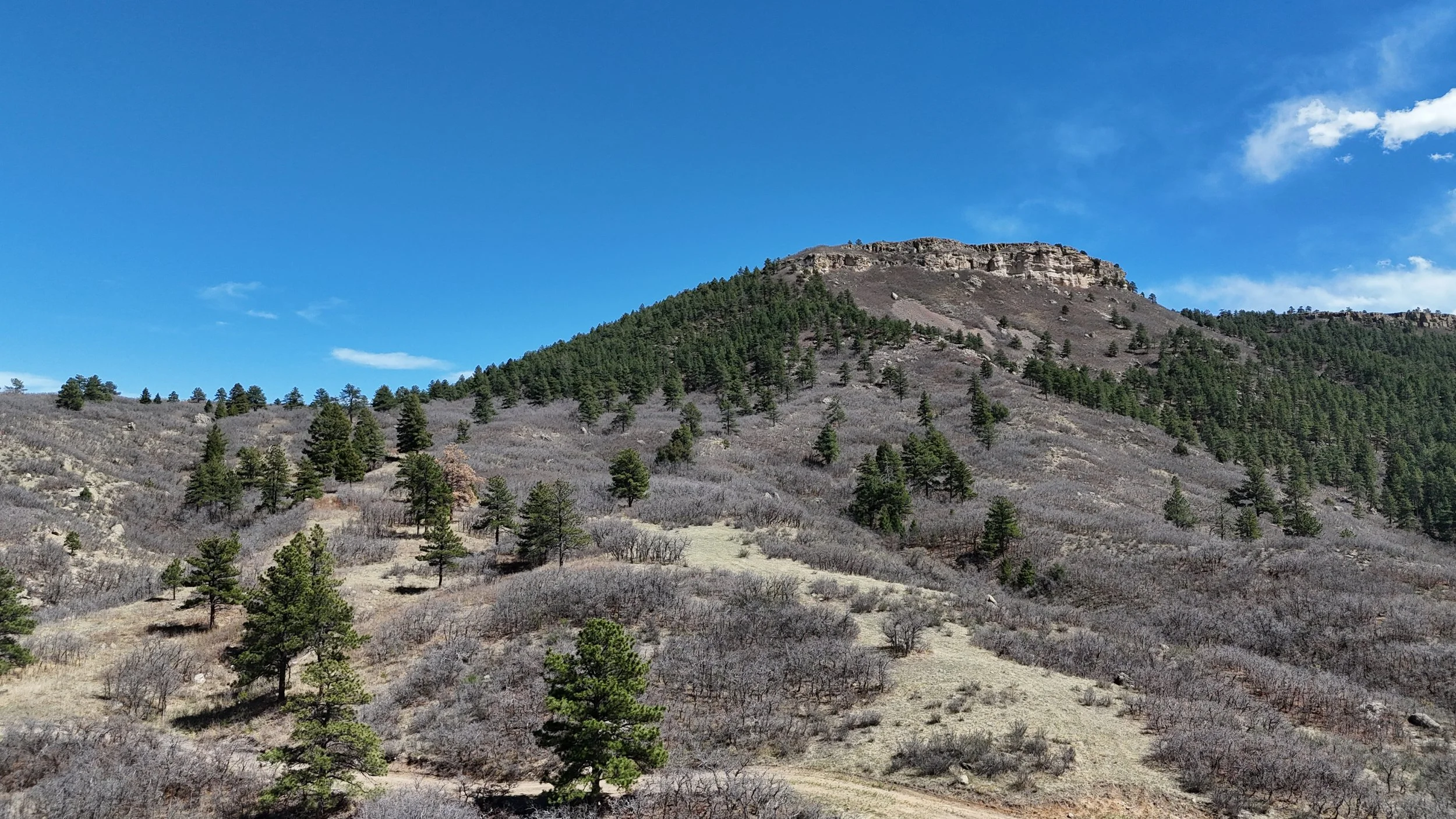 DJI_20260406140600_0122_D.JPG