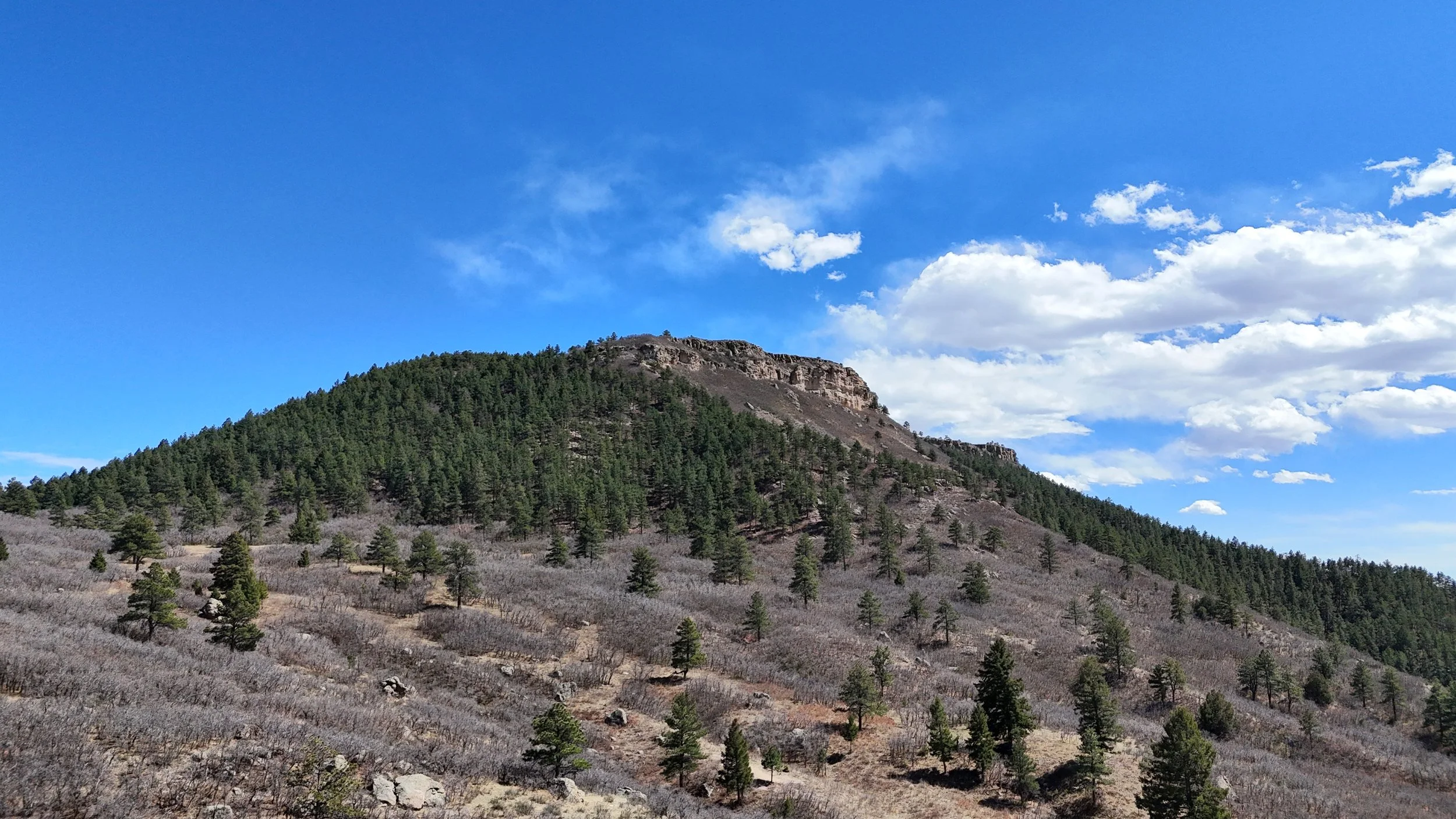 DJI_20260406140457_0118_D.JPG