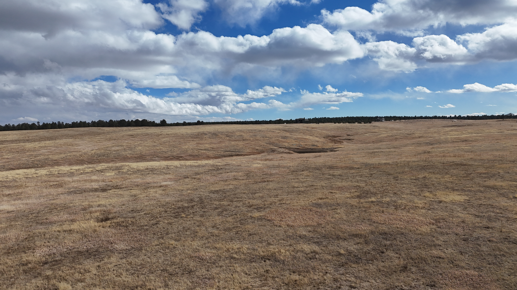 Screenshot 2026-02-22 172910.JPG