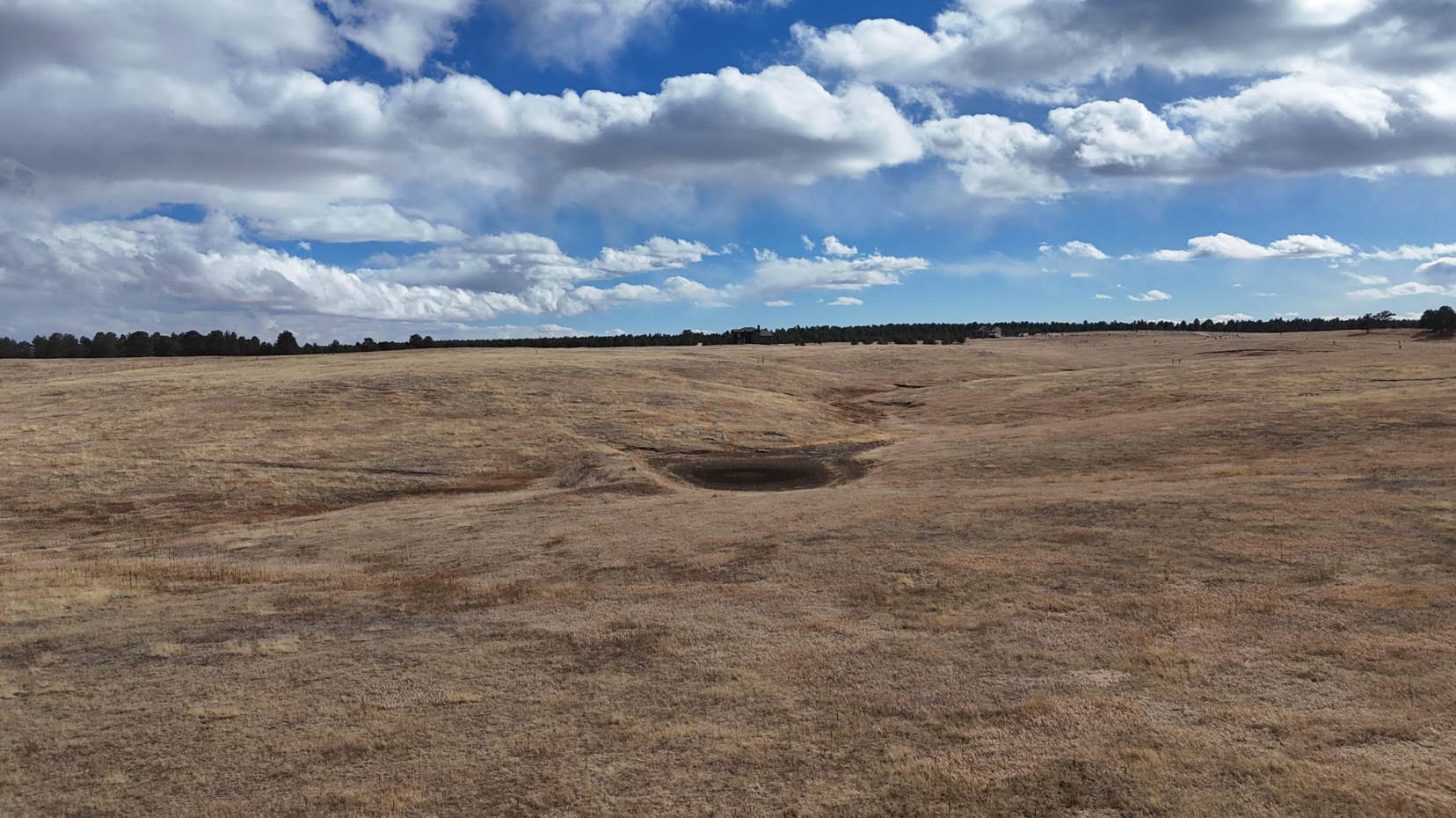 Screenshot 2026-02-22 172917.JPG