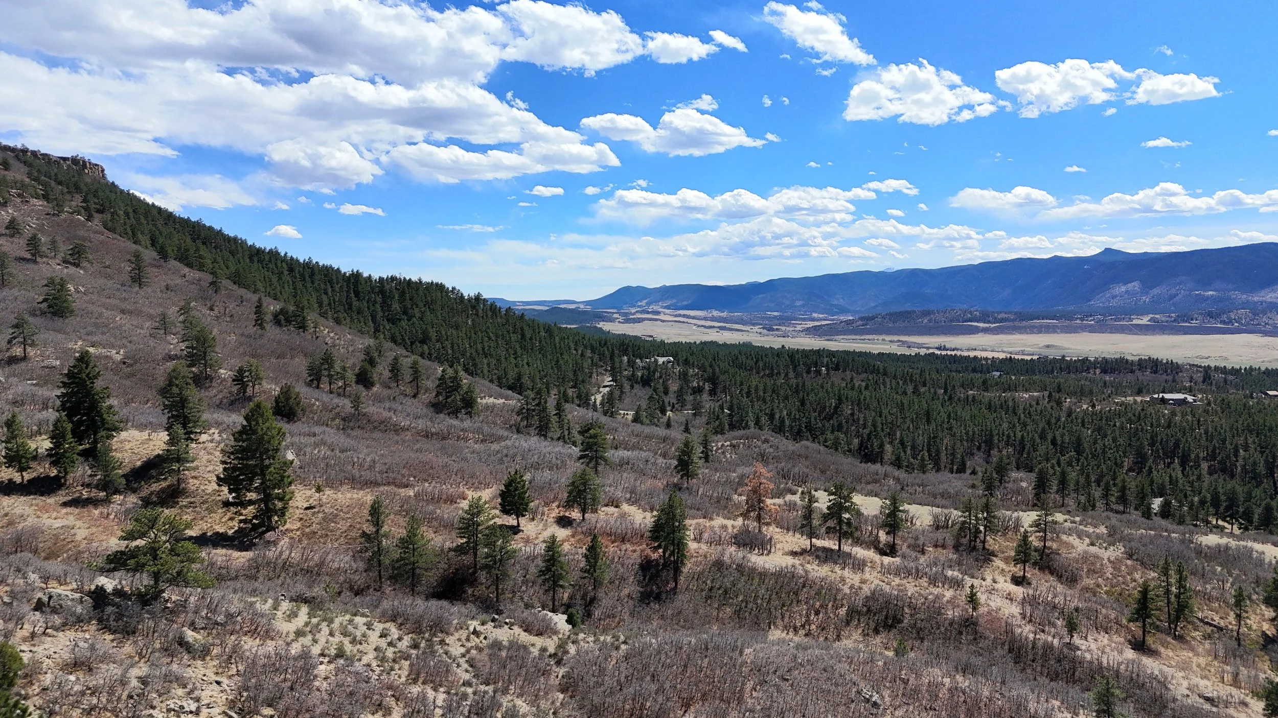 DJI_20260406140511_0120_D.JPG