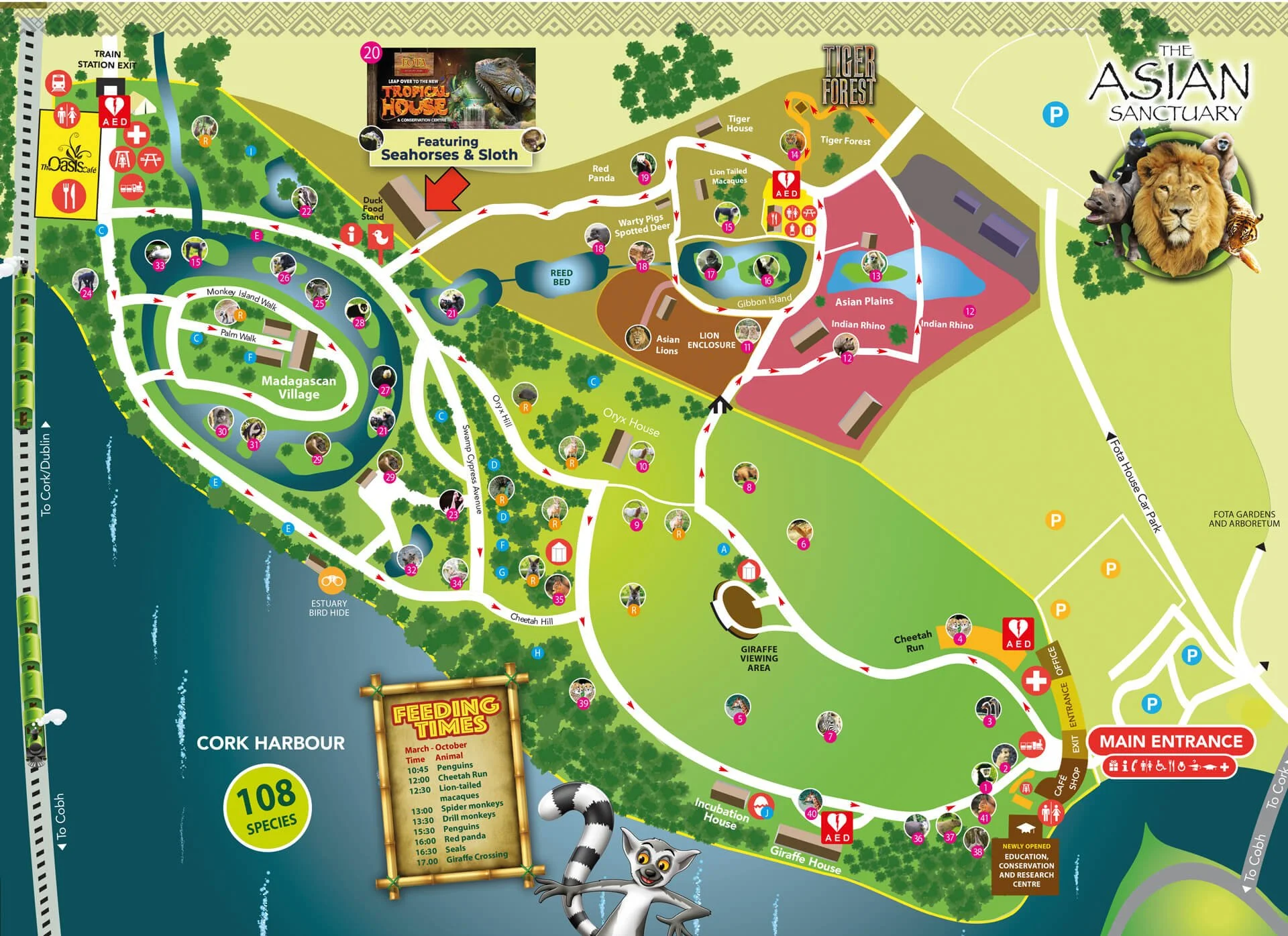 Fota Wildlife Park Reopens in Cork Following 10-Week Closure Due to Bird Flu