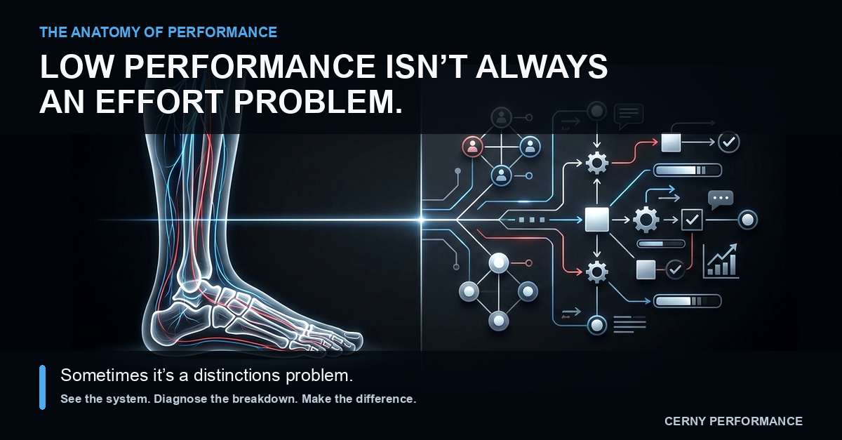 The Anatomy of Performance