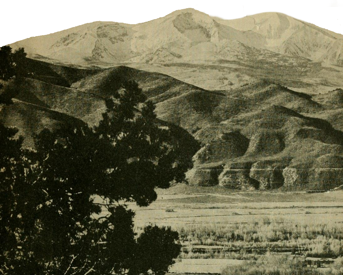 Black and white photo of rolling hills with some trees in the foreground and a snow-capped mountain in the background.