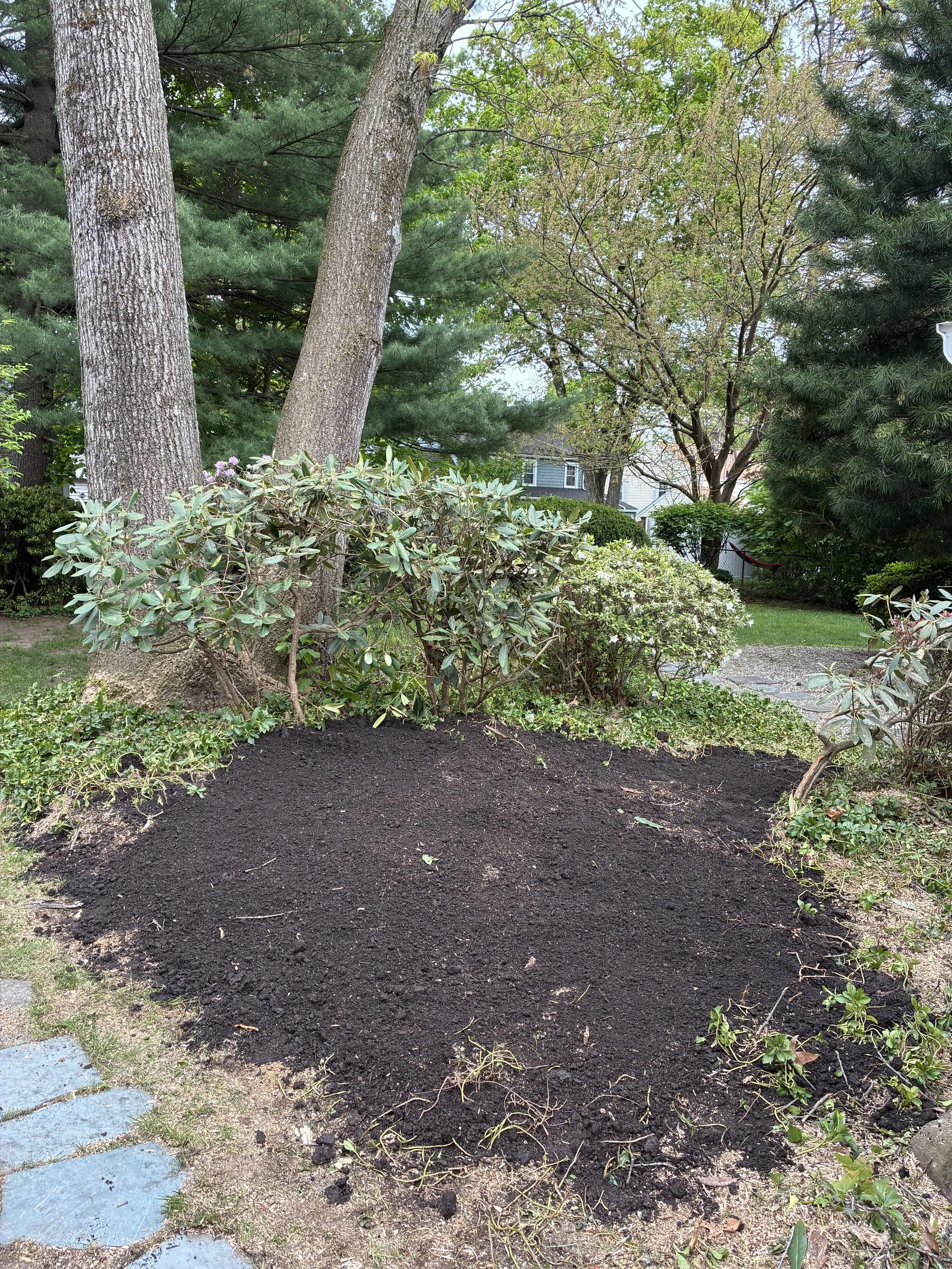 A section of garden with freshly turned dark soil in the foreground, surrounded by green shrubs and trees, with a house visible in the background.