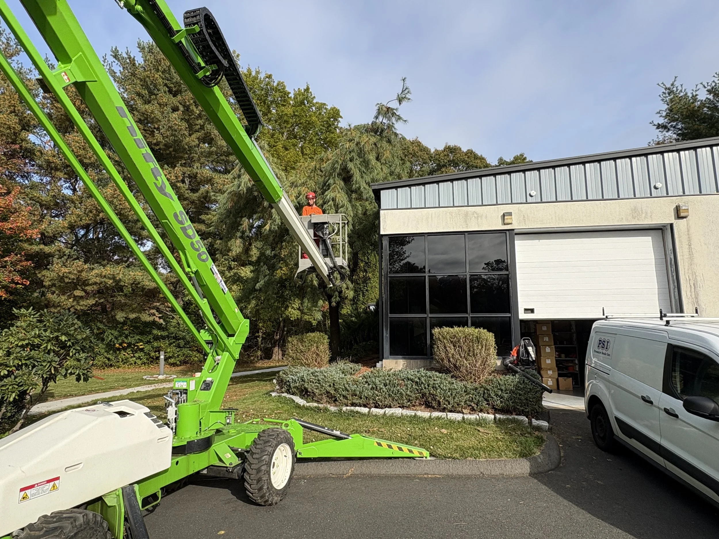 A worker in an orange helmet and shirt is standing in a cherry picker, trimming or cutting branches from a tree with lush green foliage, with a building and a white van in the background.