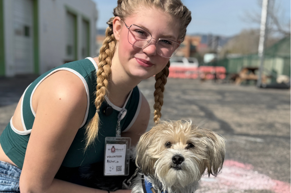 All Aboard Animal Rescue Adoption Event Takes Place at Compass