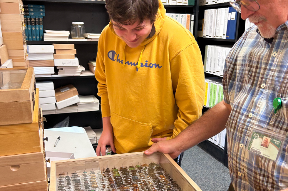 Compass Student Shines at C.P. Gillette Museum of Arthropod Diversity