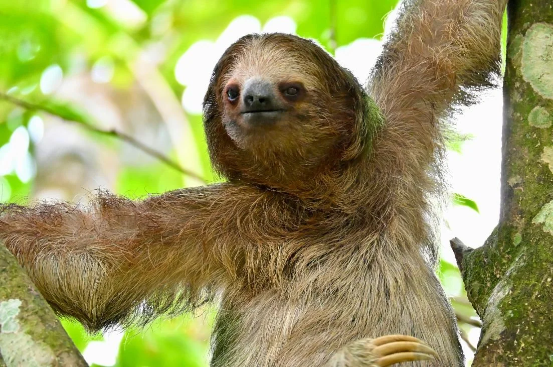 Explore, Learn &amp; Grow: Compass Students Head to Costa Rica in Summer 2027