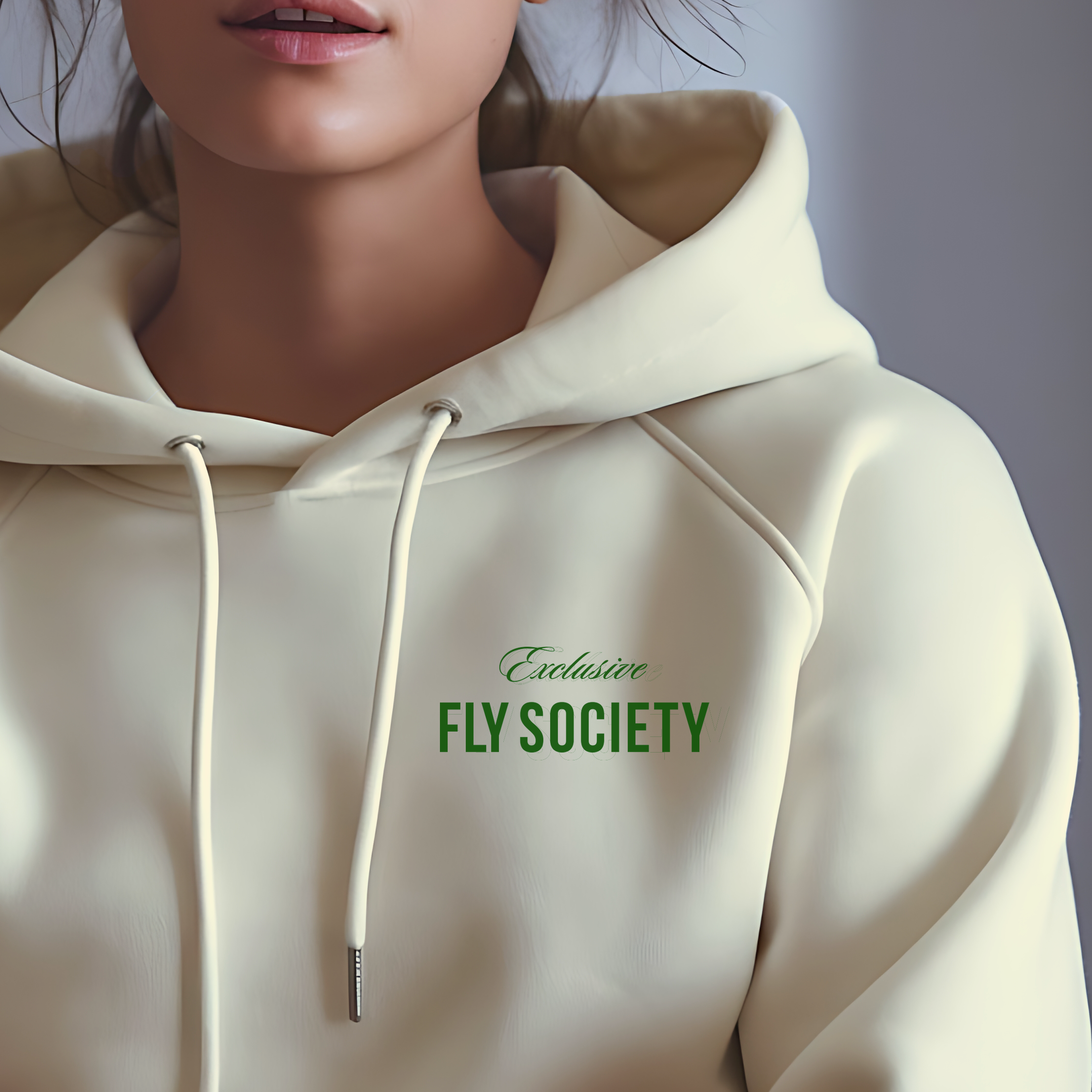 010 Exclusive FS Model Front.png