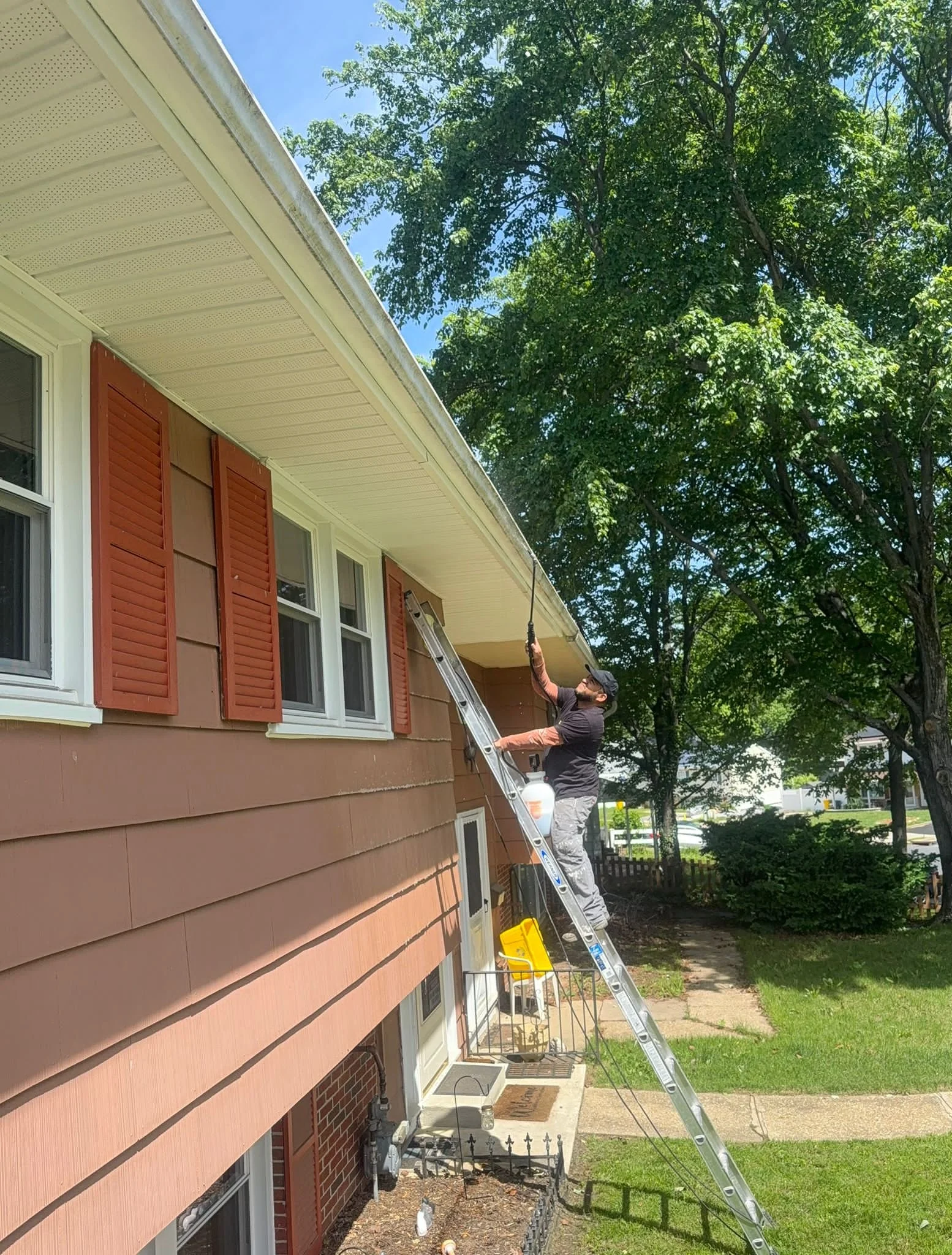 Exterior Paint, Painting, lead painting removal, professional painting, Siding painting, Shutter painting