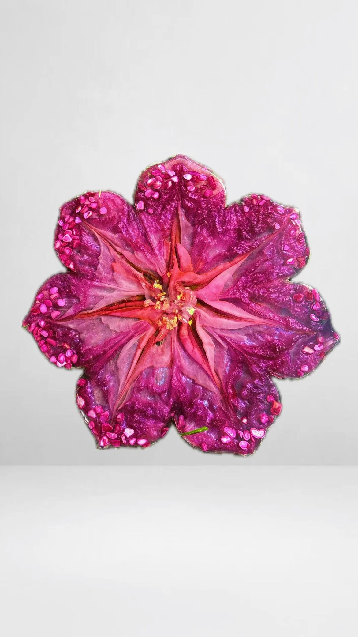 387C4511-A509-48FB-A430-C9B8E9775AEE_VSCO (1).JPG