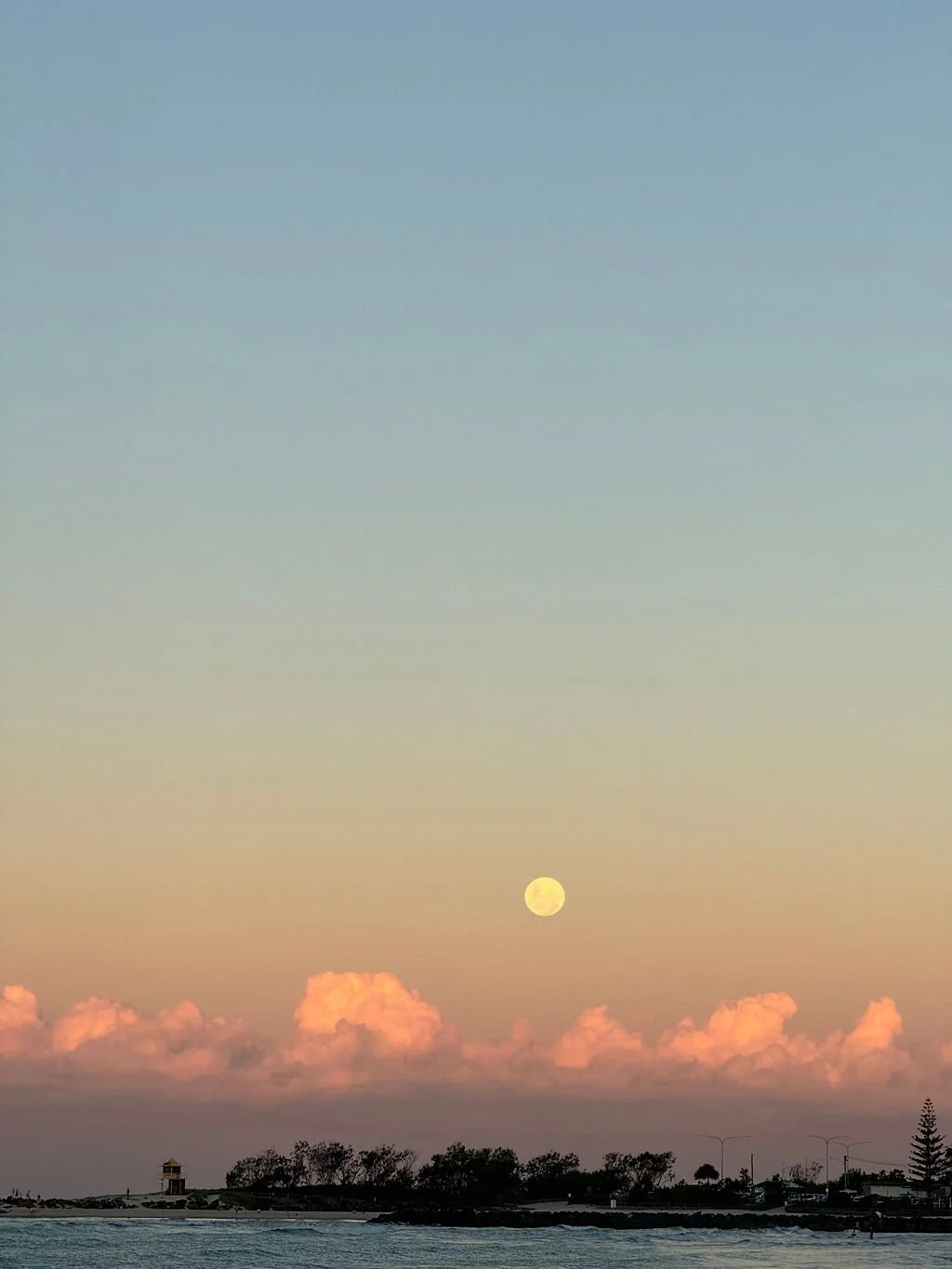 356d3056-bba6-4ed5-b72f-50bc20ea00da.jpeg