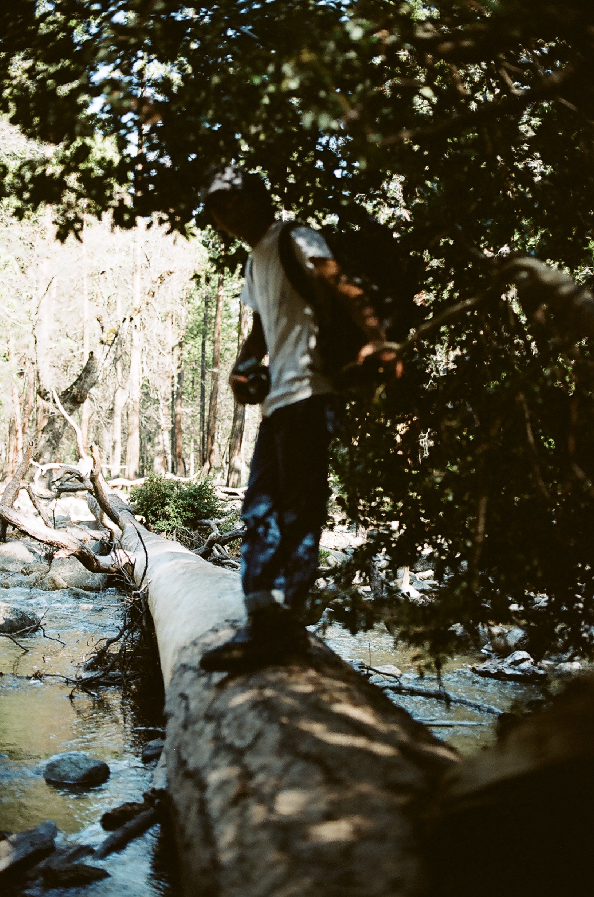 eli crossing the creek