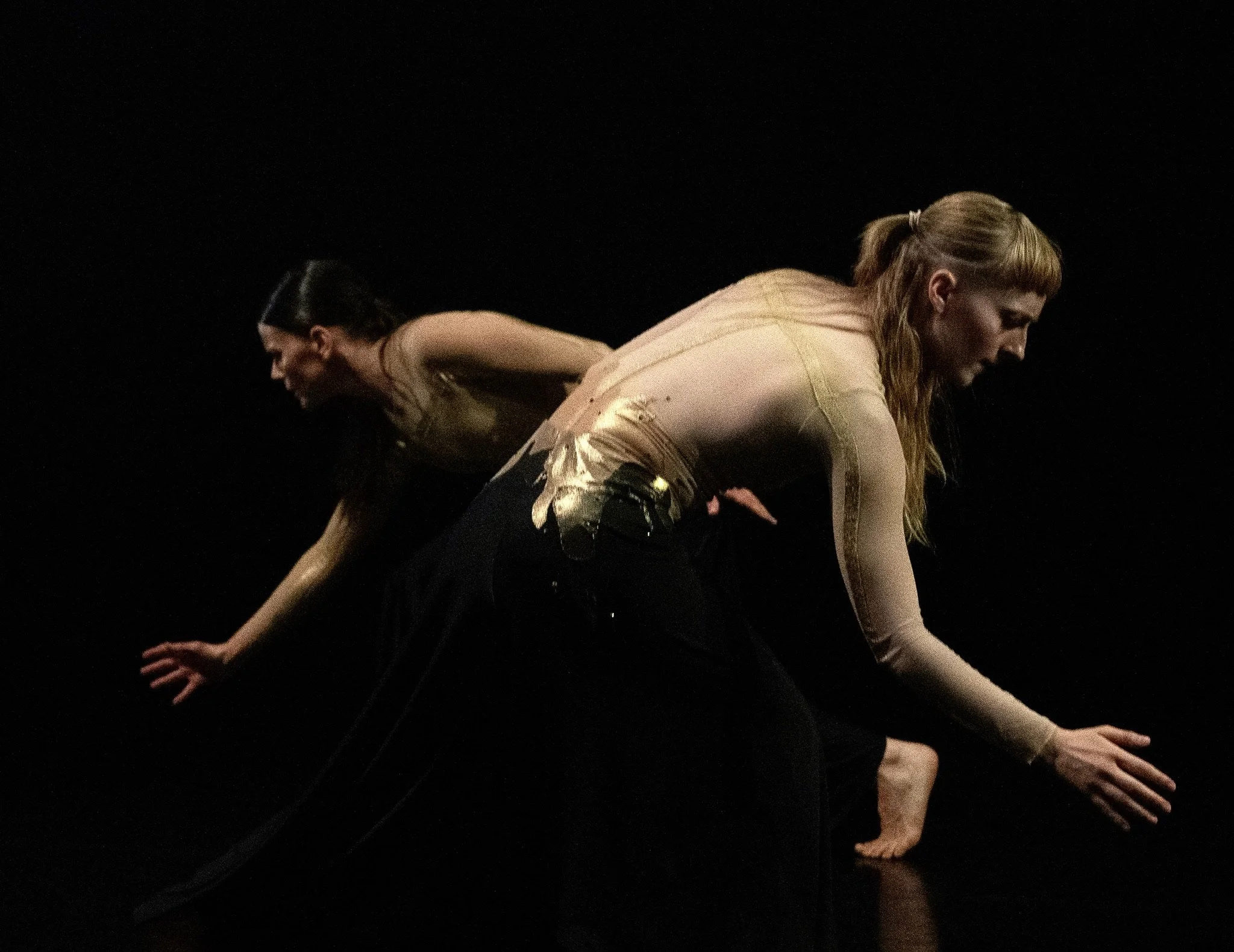 Hudson Valley Dance Festival (Evening Performance)